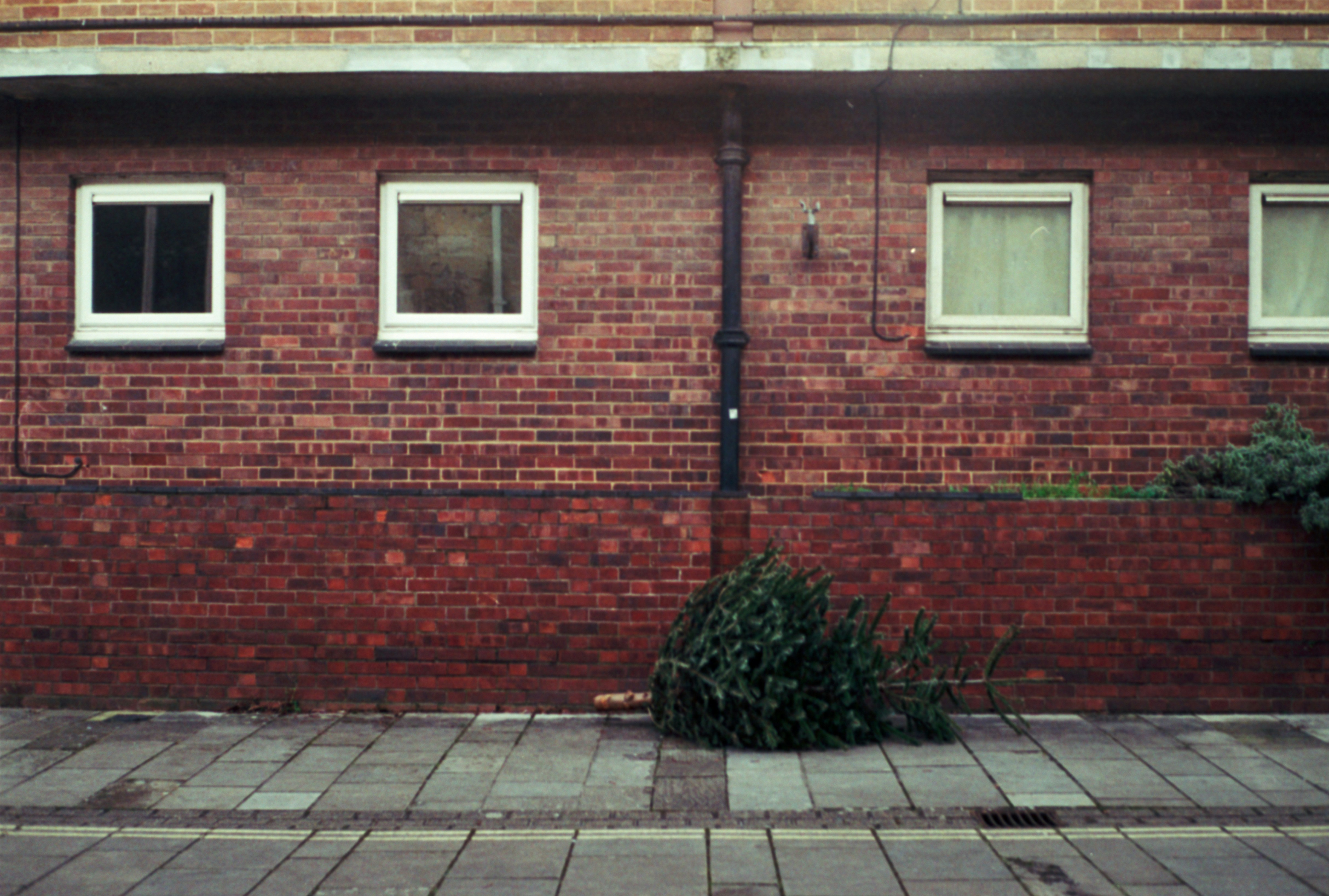 Photo by anniespratt