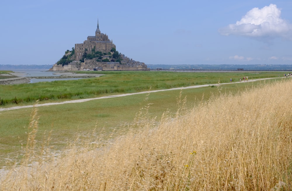 un campo erboso con un castello sullo sfondo