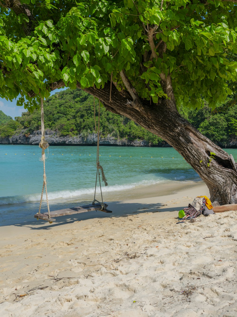 a couple of swings sitting on top of a sandy beach