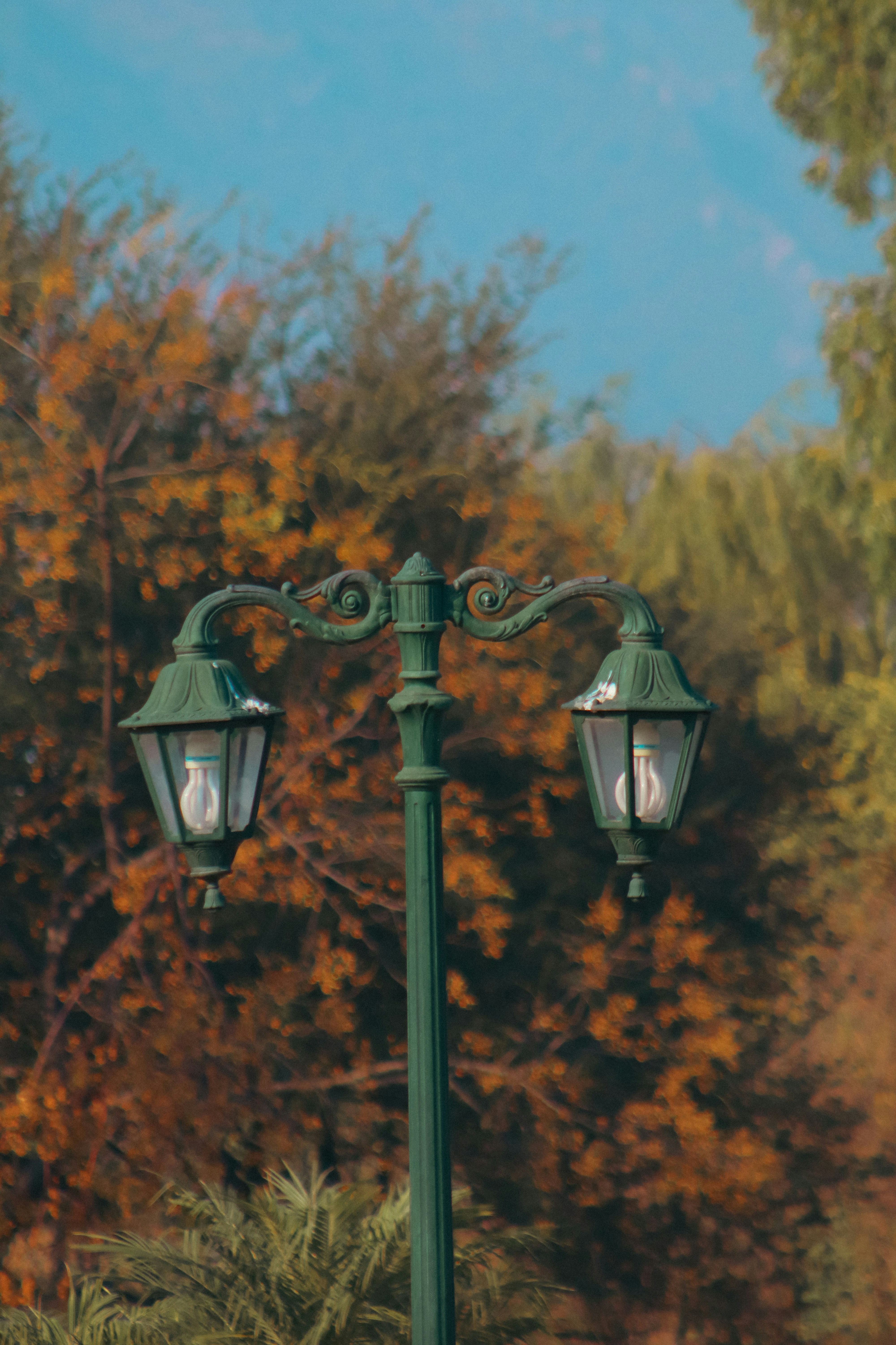 Photo by alihamzatullah