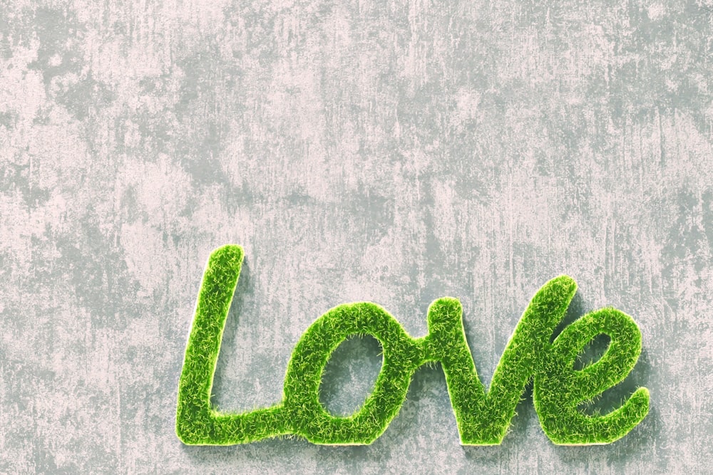 the word love made out of grass on a wall