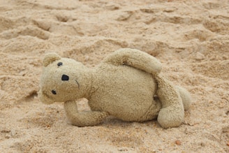 a teddy bear laying in the sand on a beach