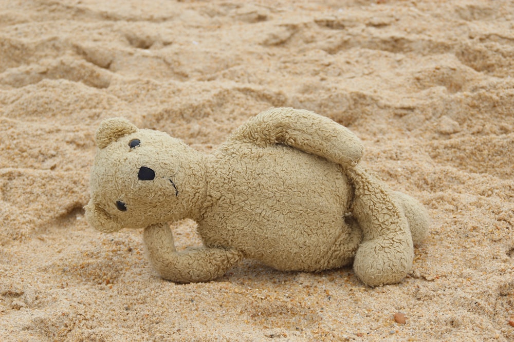 a teddy bear laying in the sand on a beach