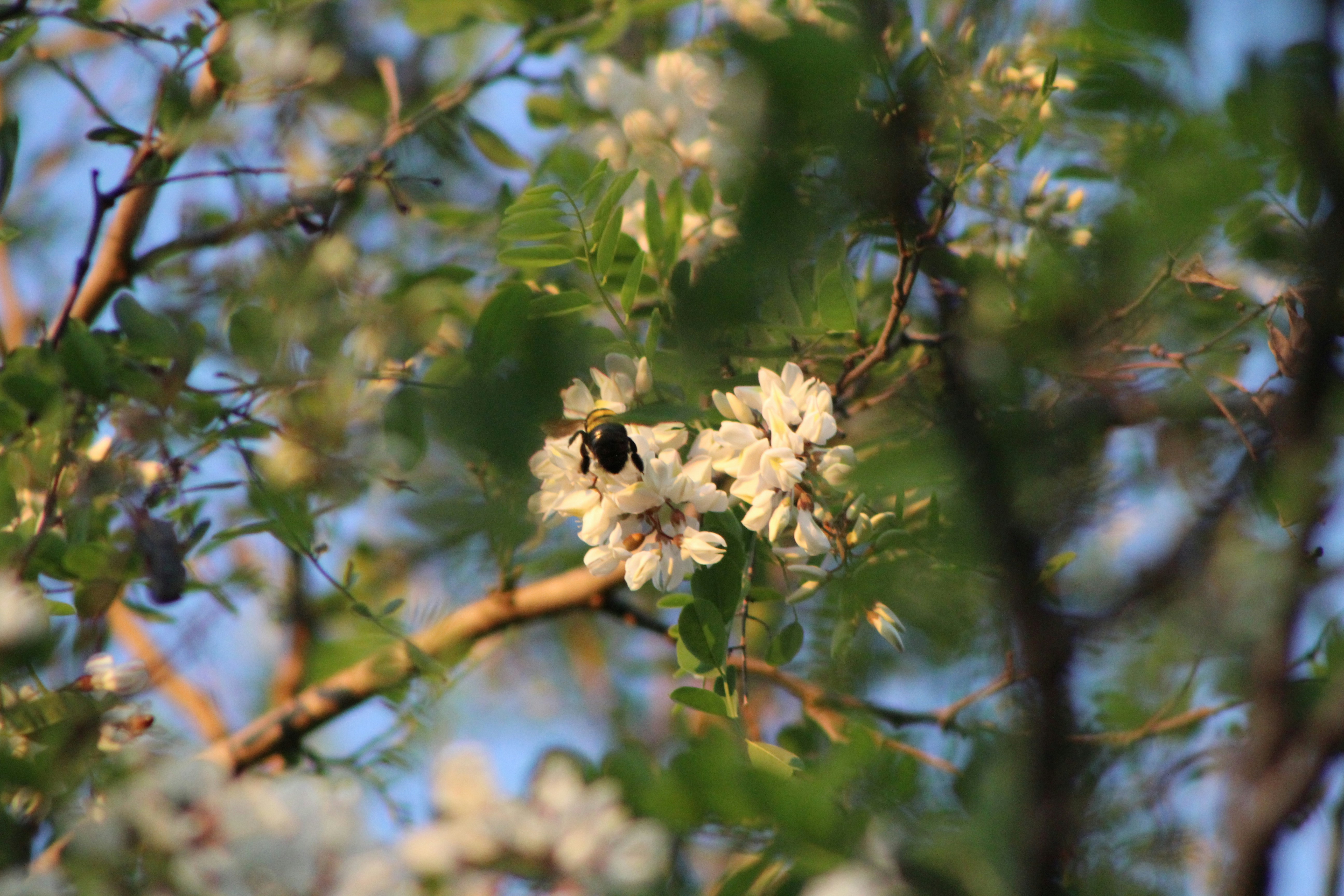 Photo by pink_fluffy_unicorn