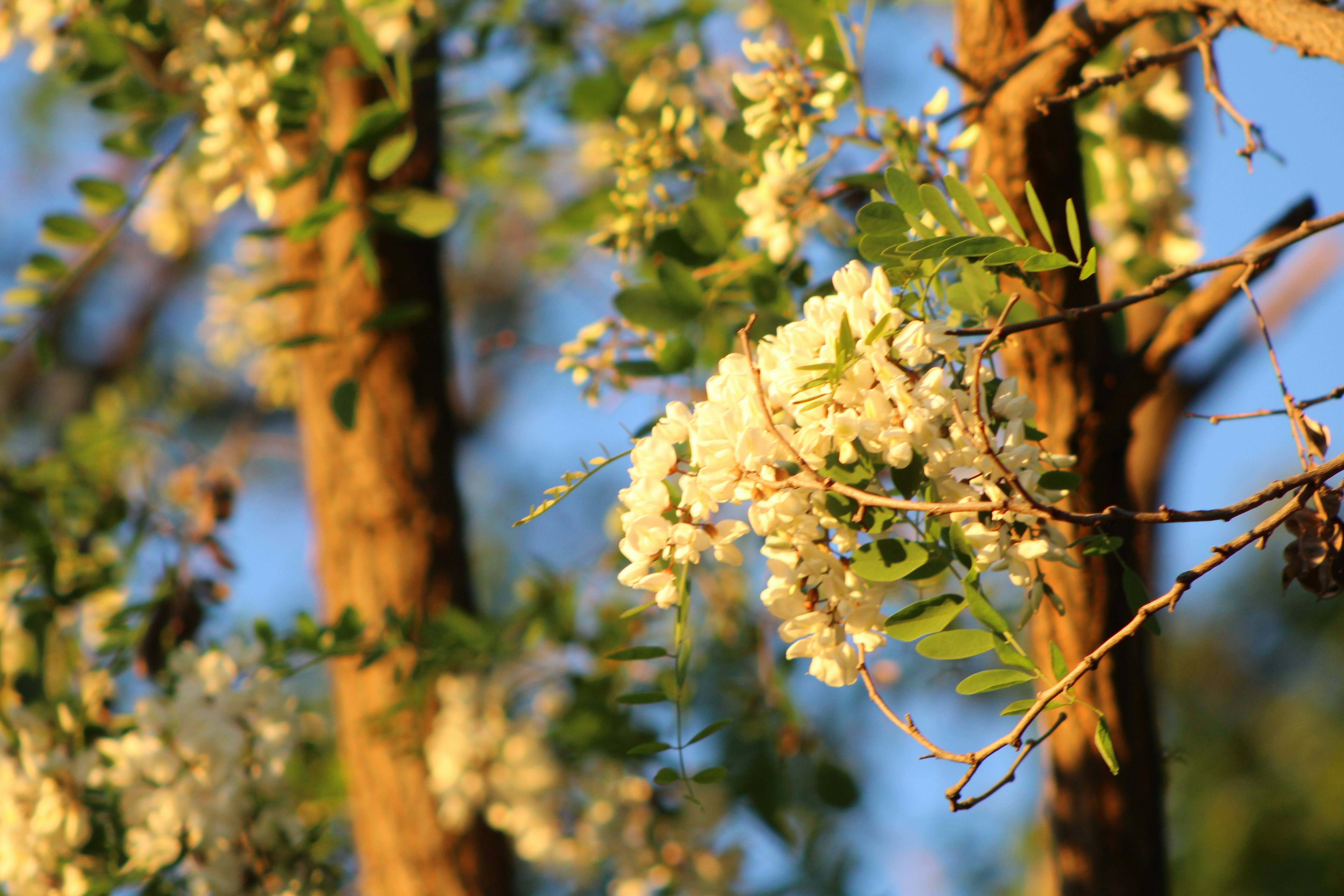 Photo by pink_fluffy_unicorn