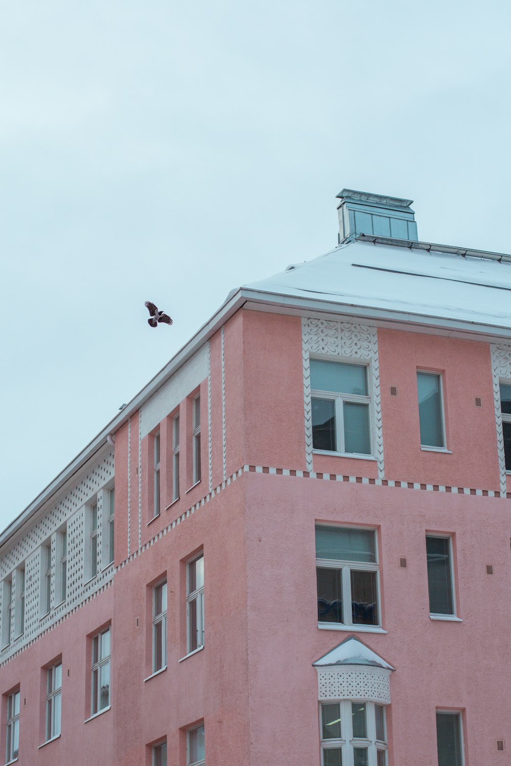 a pink building with a bird flying over it