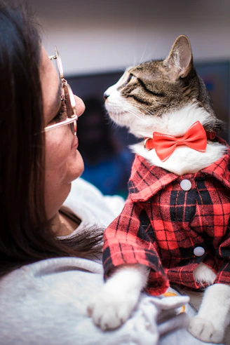 mujer sujetando a un gato con moño rojo y chaleco de cuadros negros
