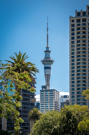 a view of a very tall building in a city