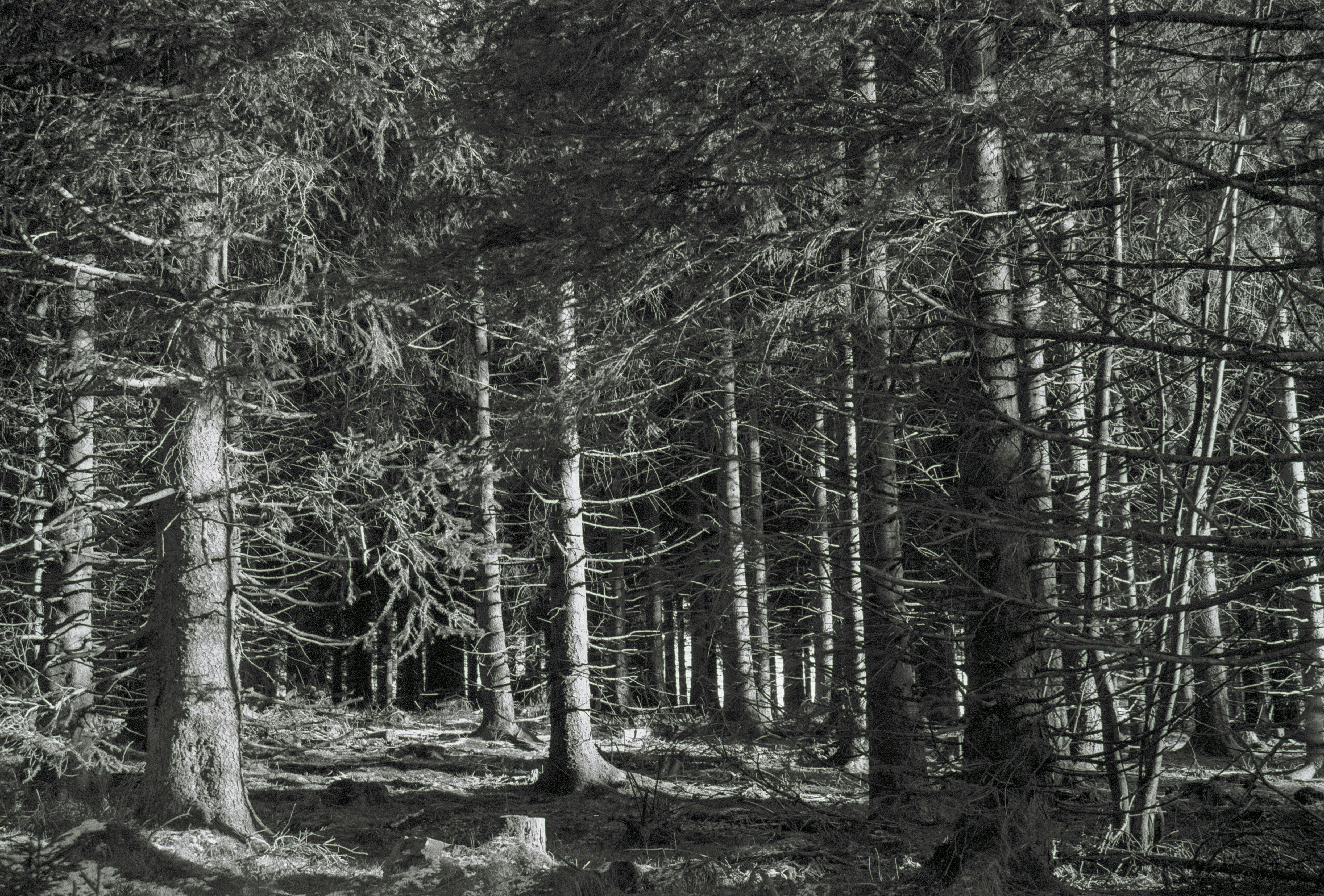 Photo by artistseyes