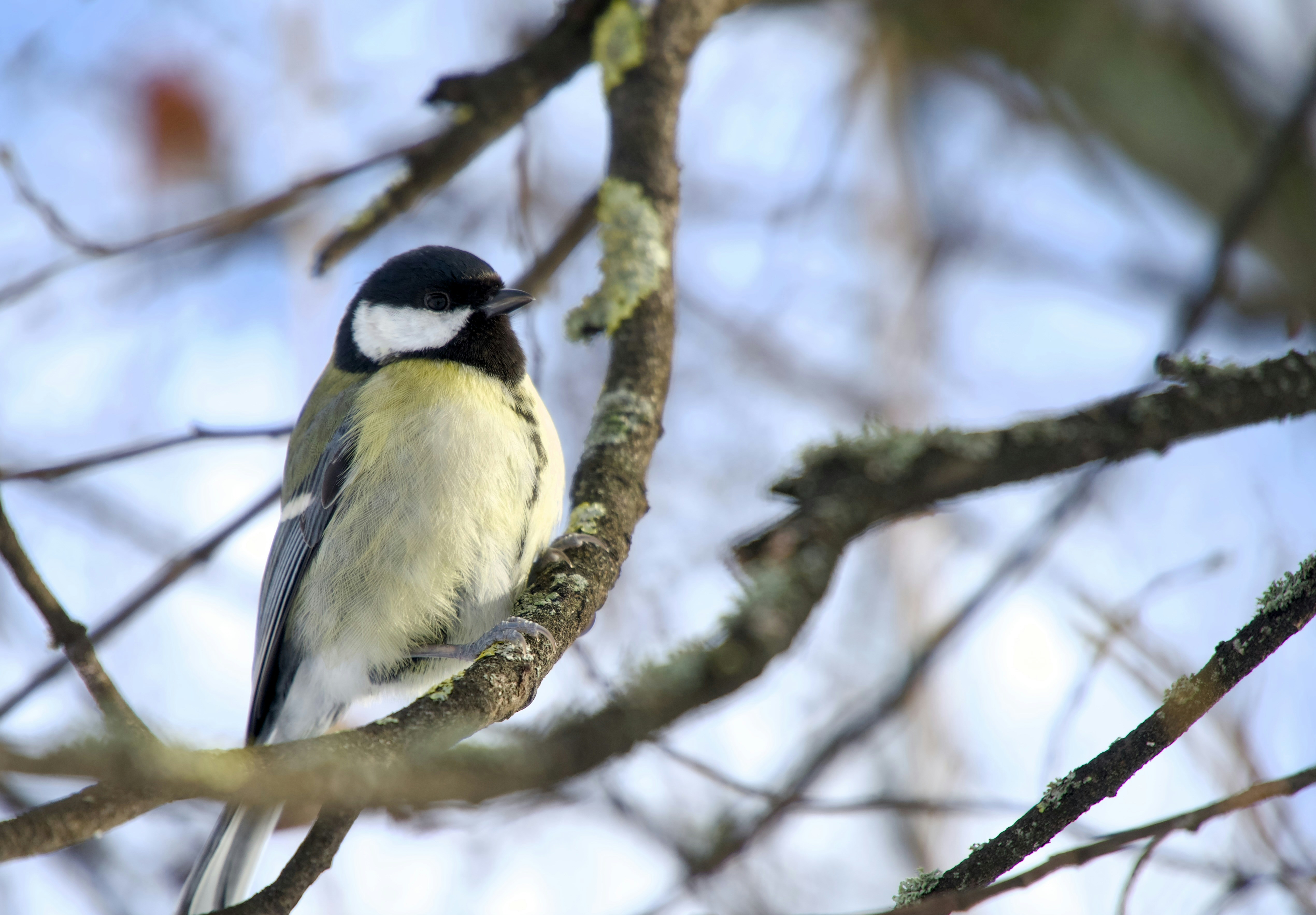 Photo by pawelprochnicki