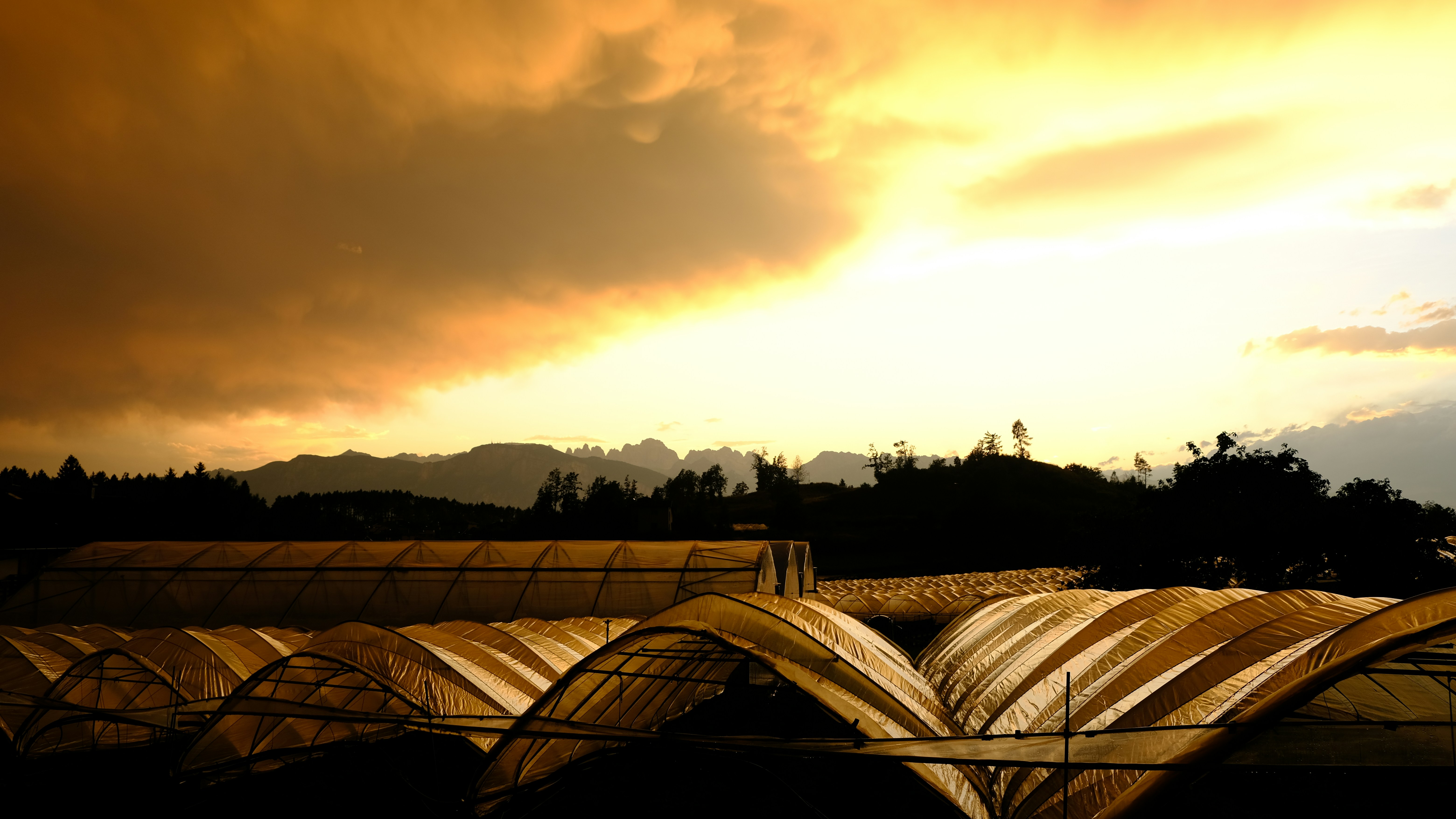 a group of greenhouses under a cloudy sky
