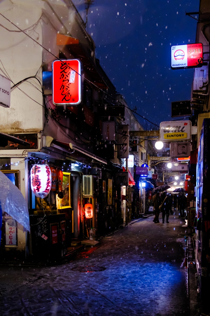 Tokyo snow, night snowfall, urban snow, snowy city lights, winter street scene