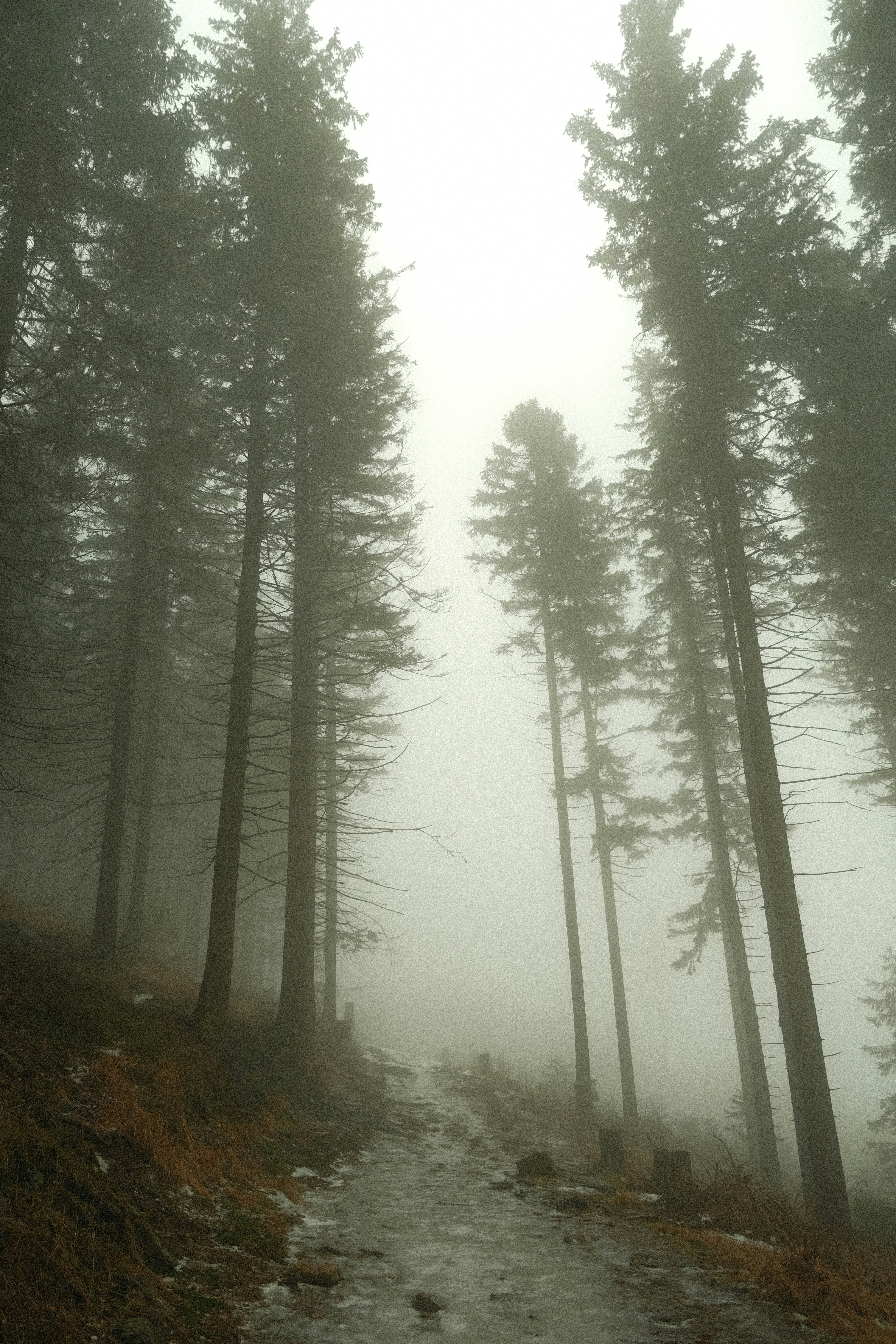 Golden Hour Face Mist