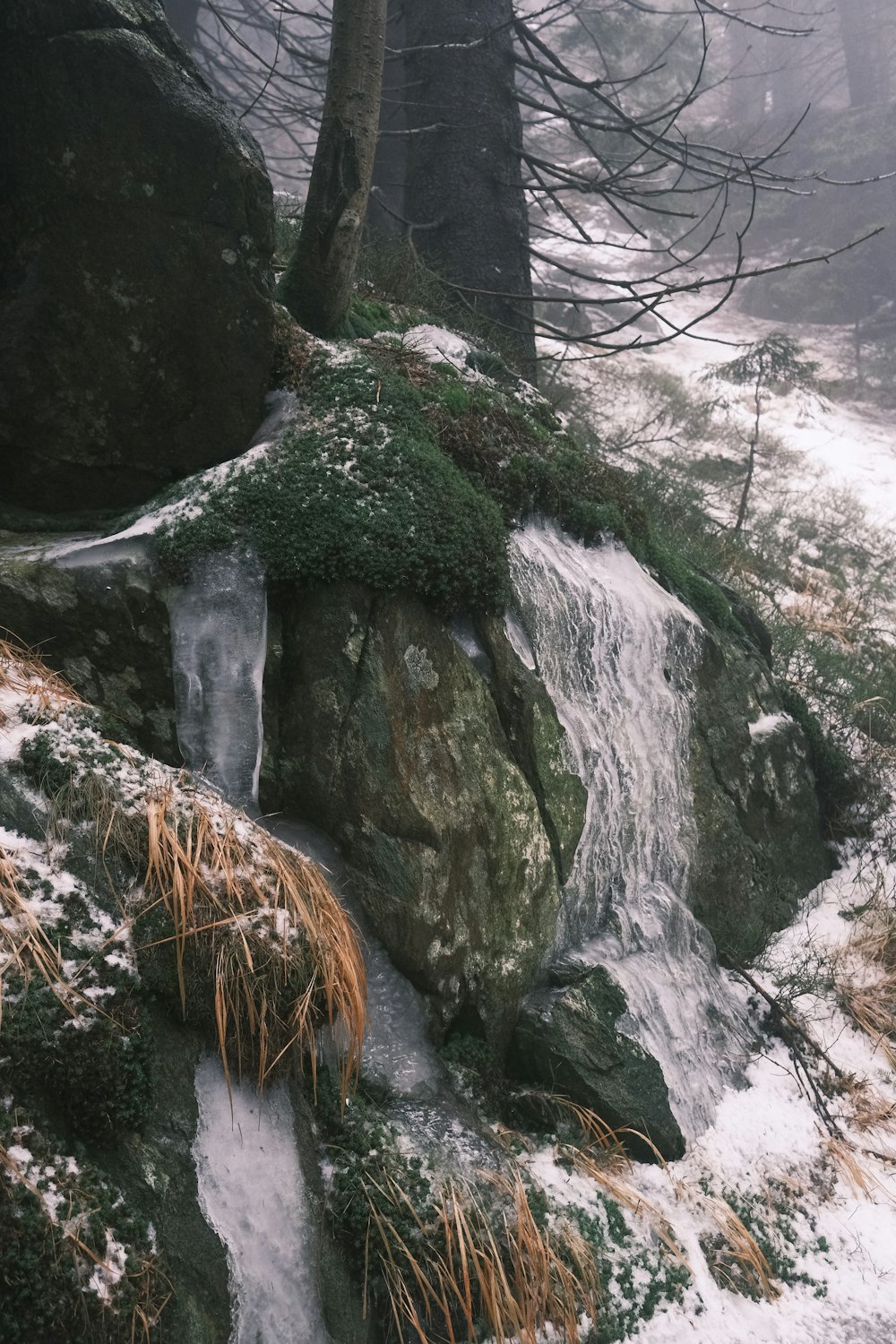 a small stream running through a snow covered forest