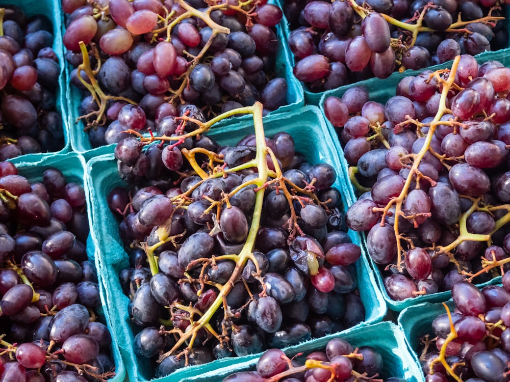 a bunch of grapes that are sitting on a table