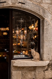 a cat sitting on a ledge in front of a store window