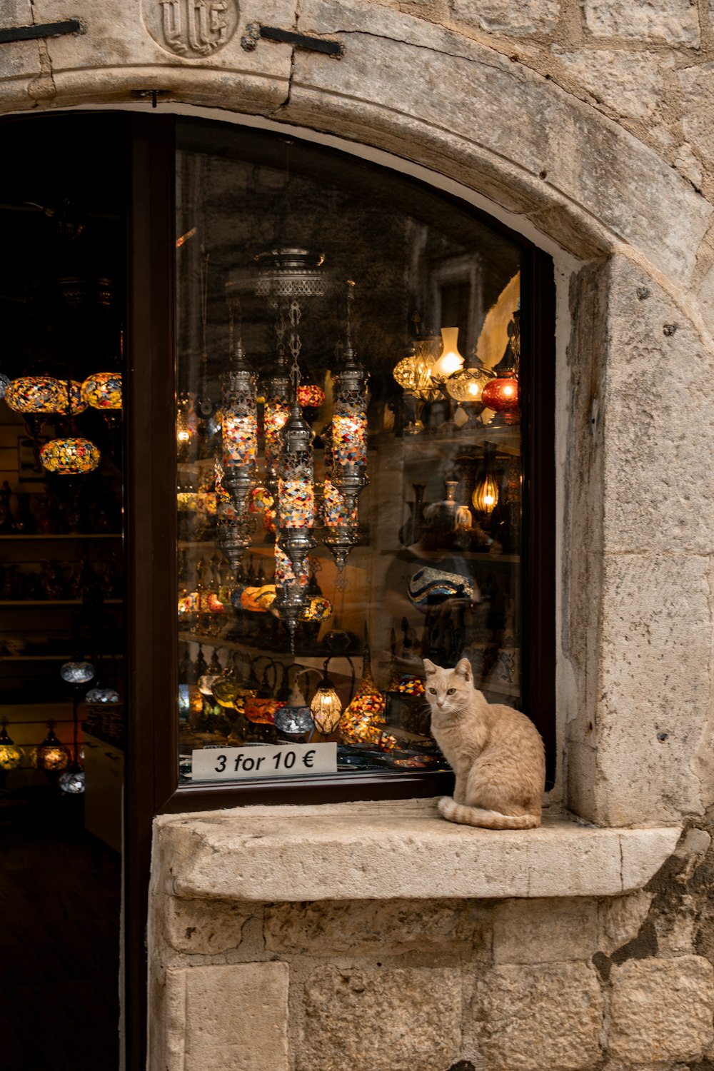 a cat sitting on a ledge in front of a store window