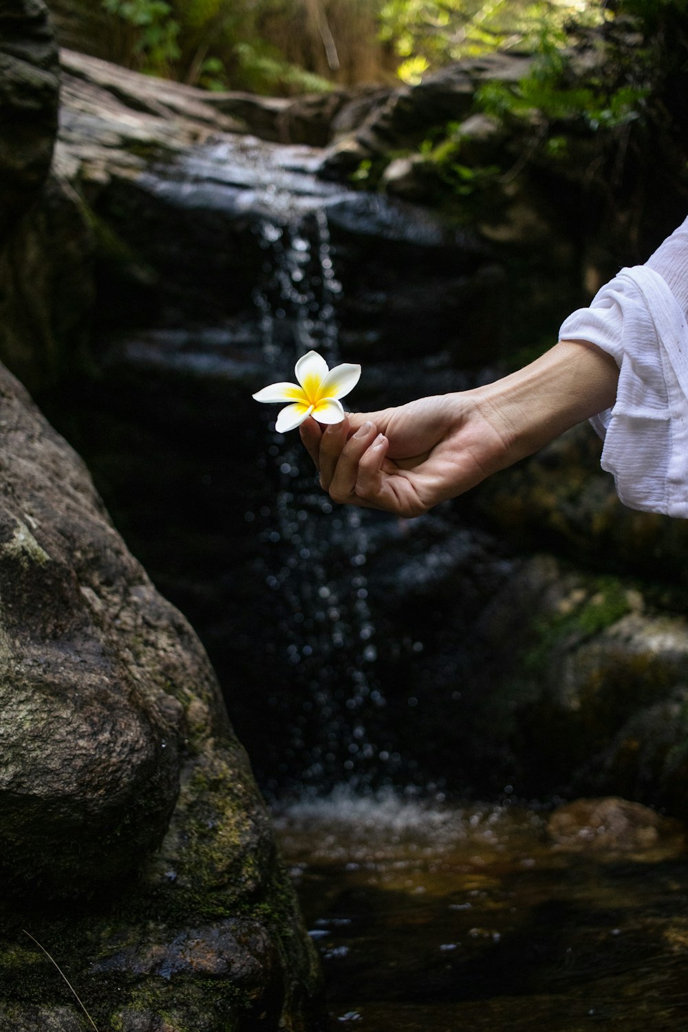 a person holding a flower in front of a waterfall