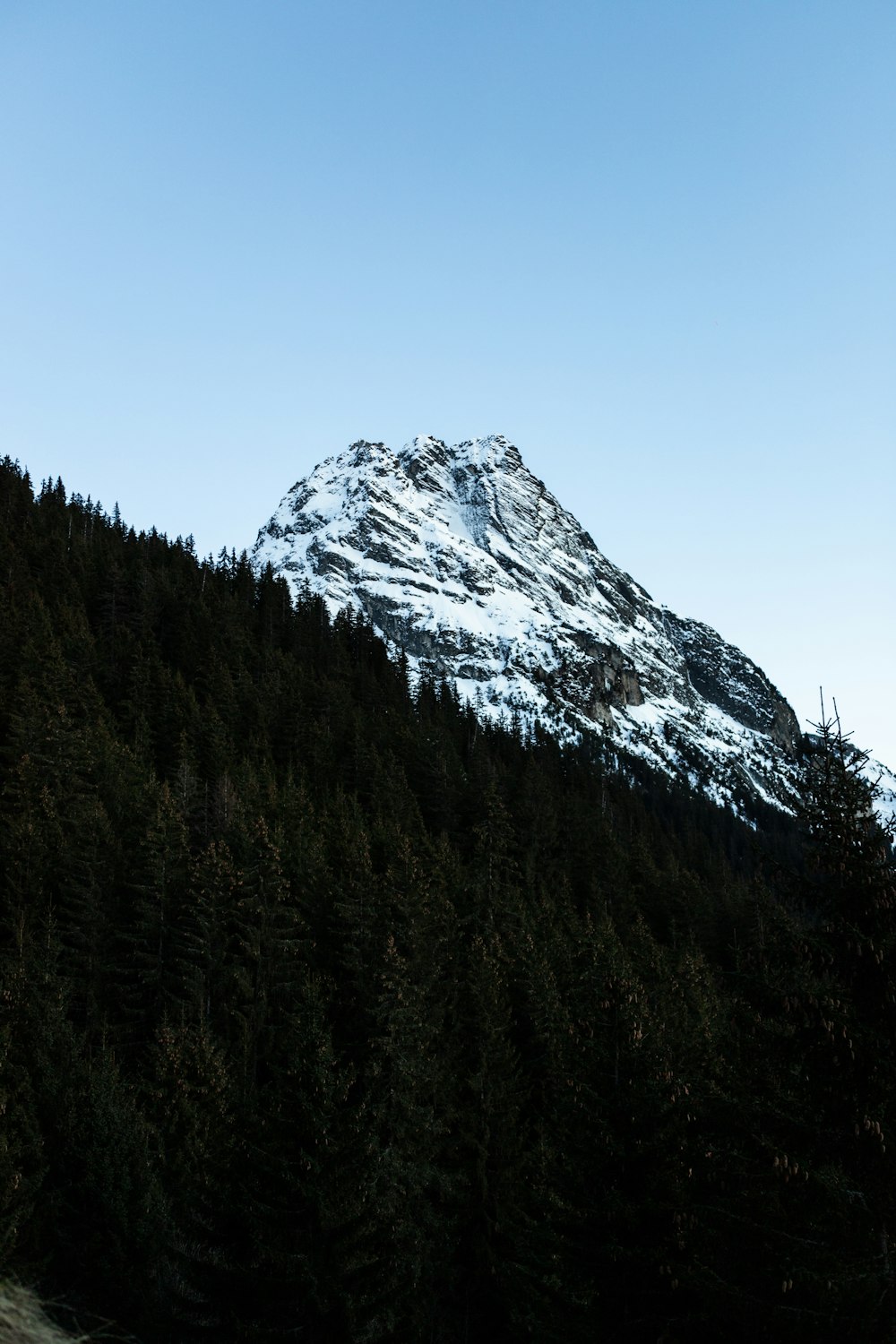 a snow covered mountain surrounded by pine trees