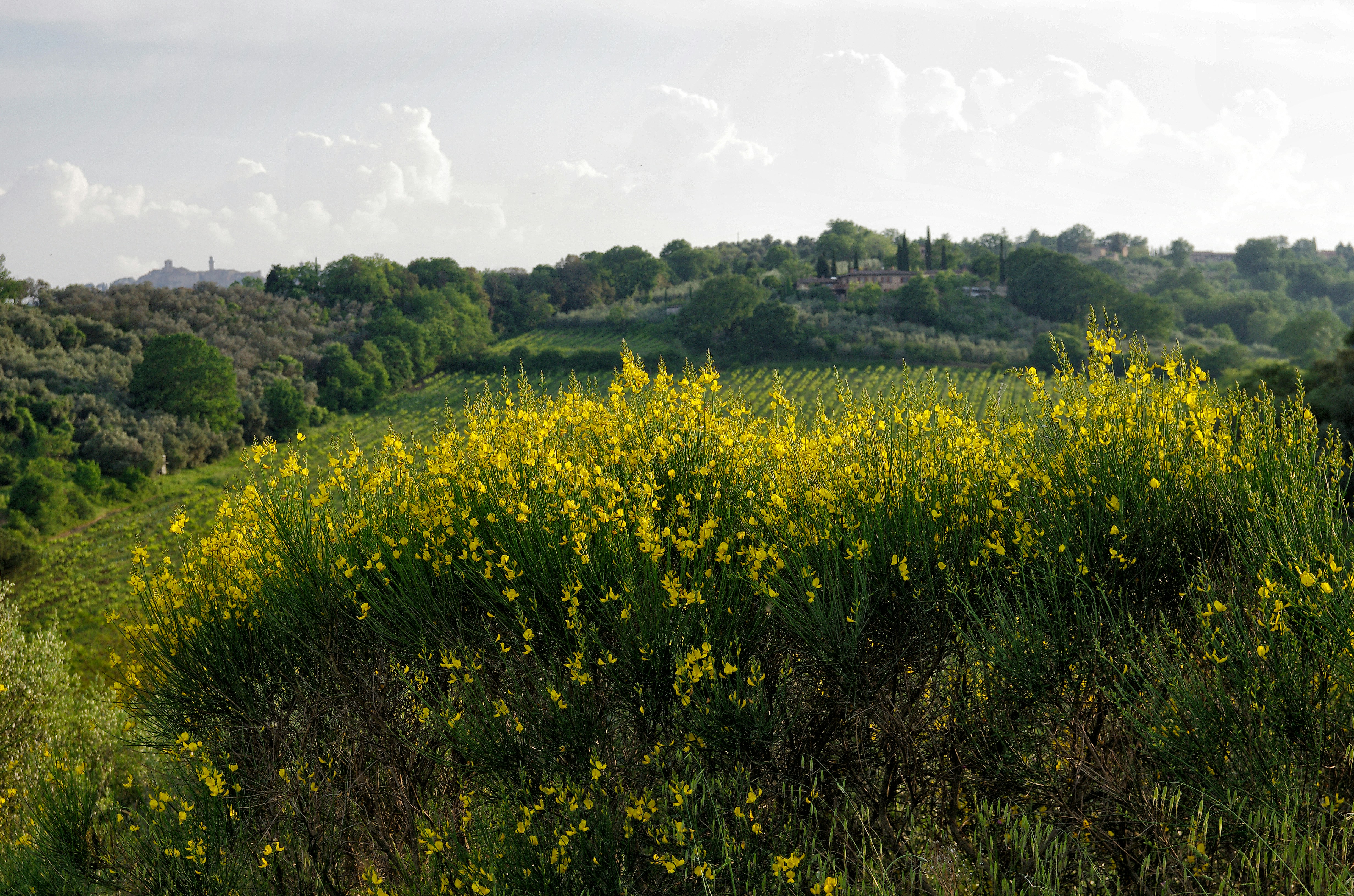 Photo by lotharborispiltz