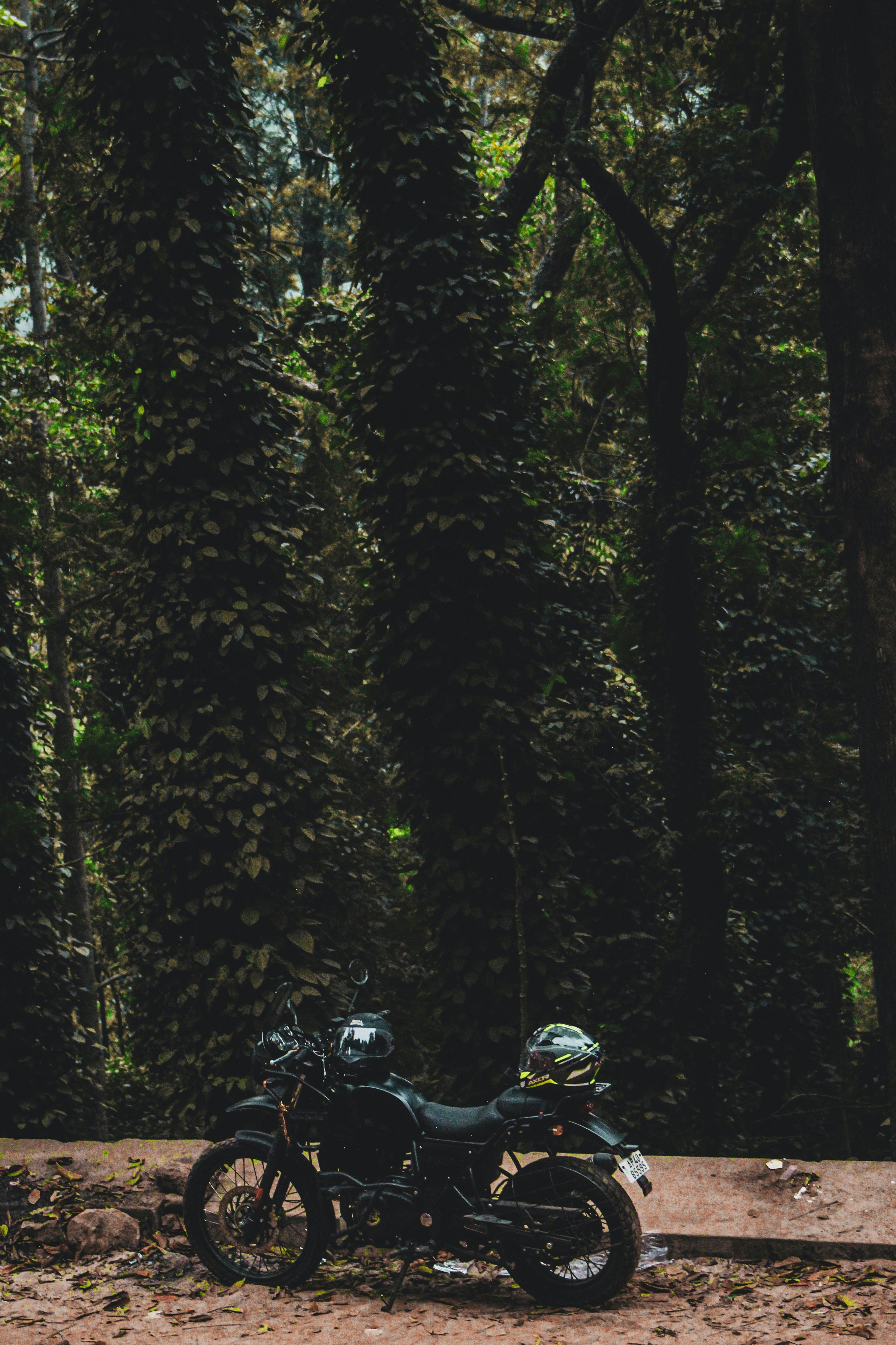 Photo by arunkumar18