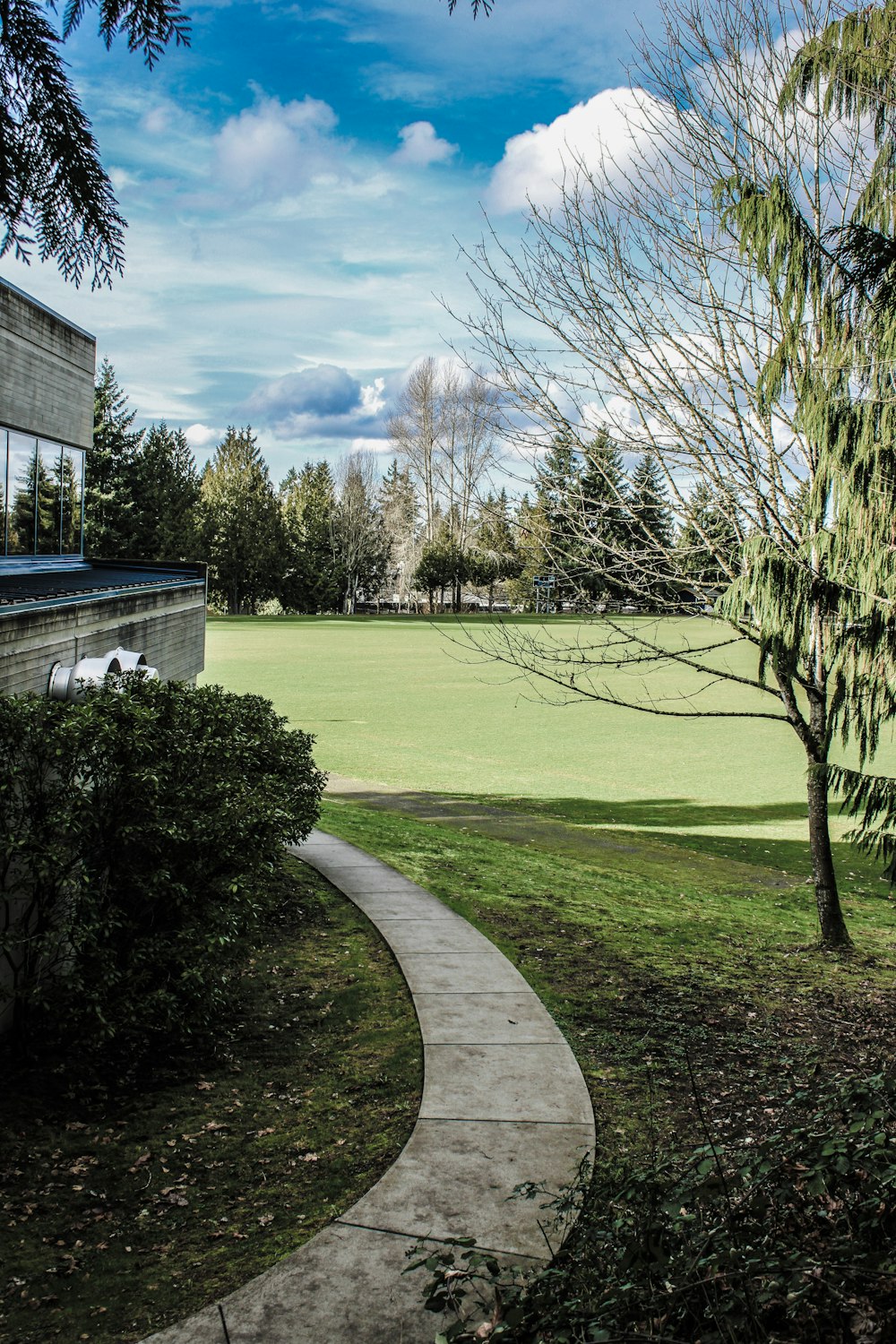 a path leading to a building in a park