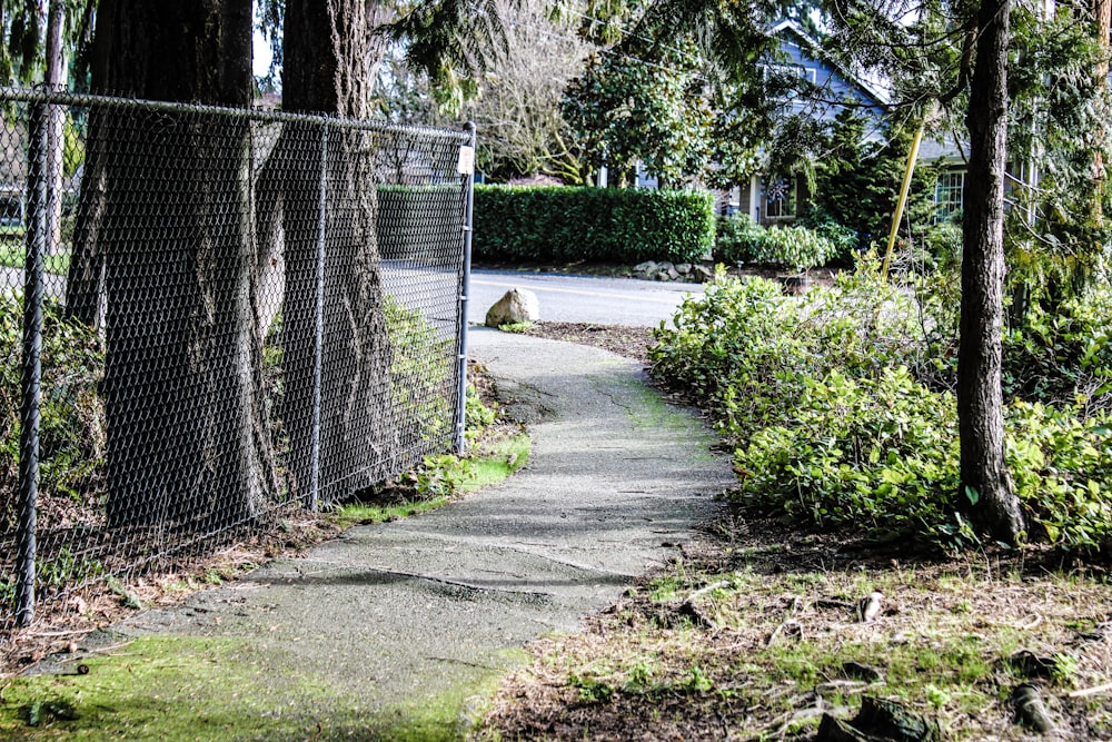 a path in a park with a fence and trees