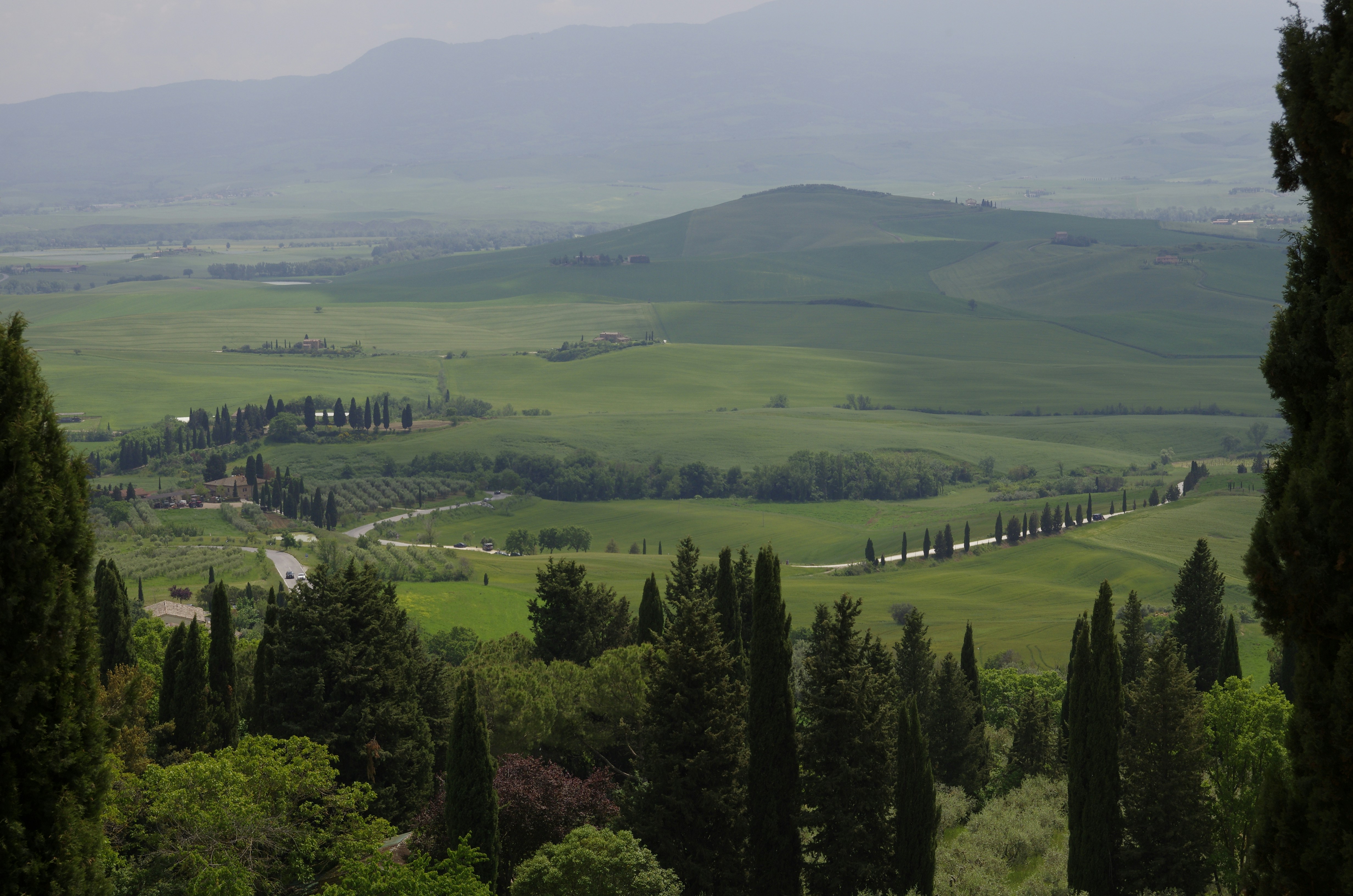 Photo by lotharborispiltz