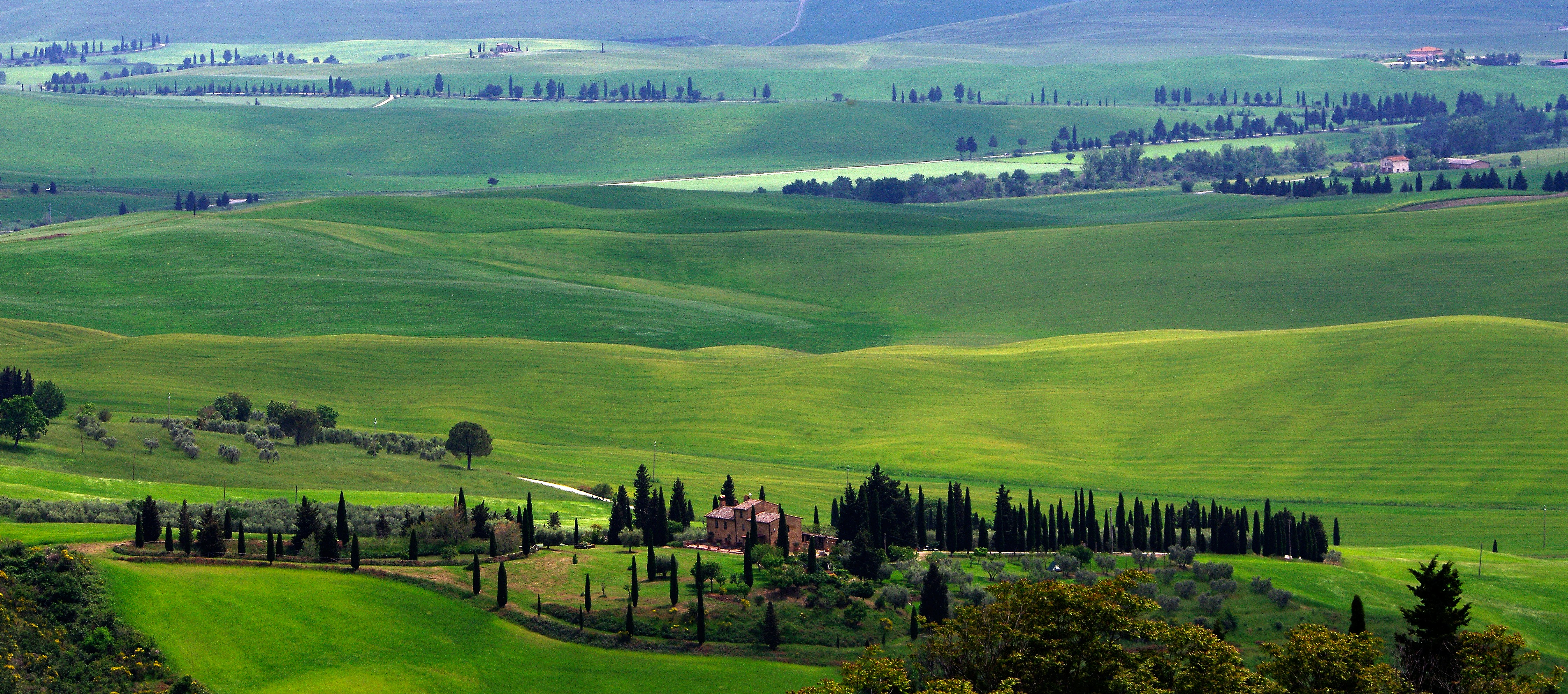 Photo by lotharborispiltz