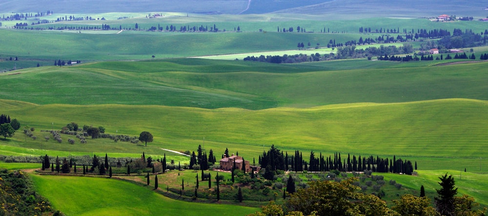 a lush green valley with trees and rolling hills in the background