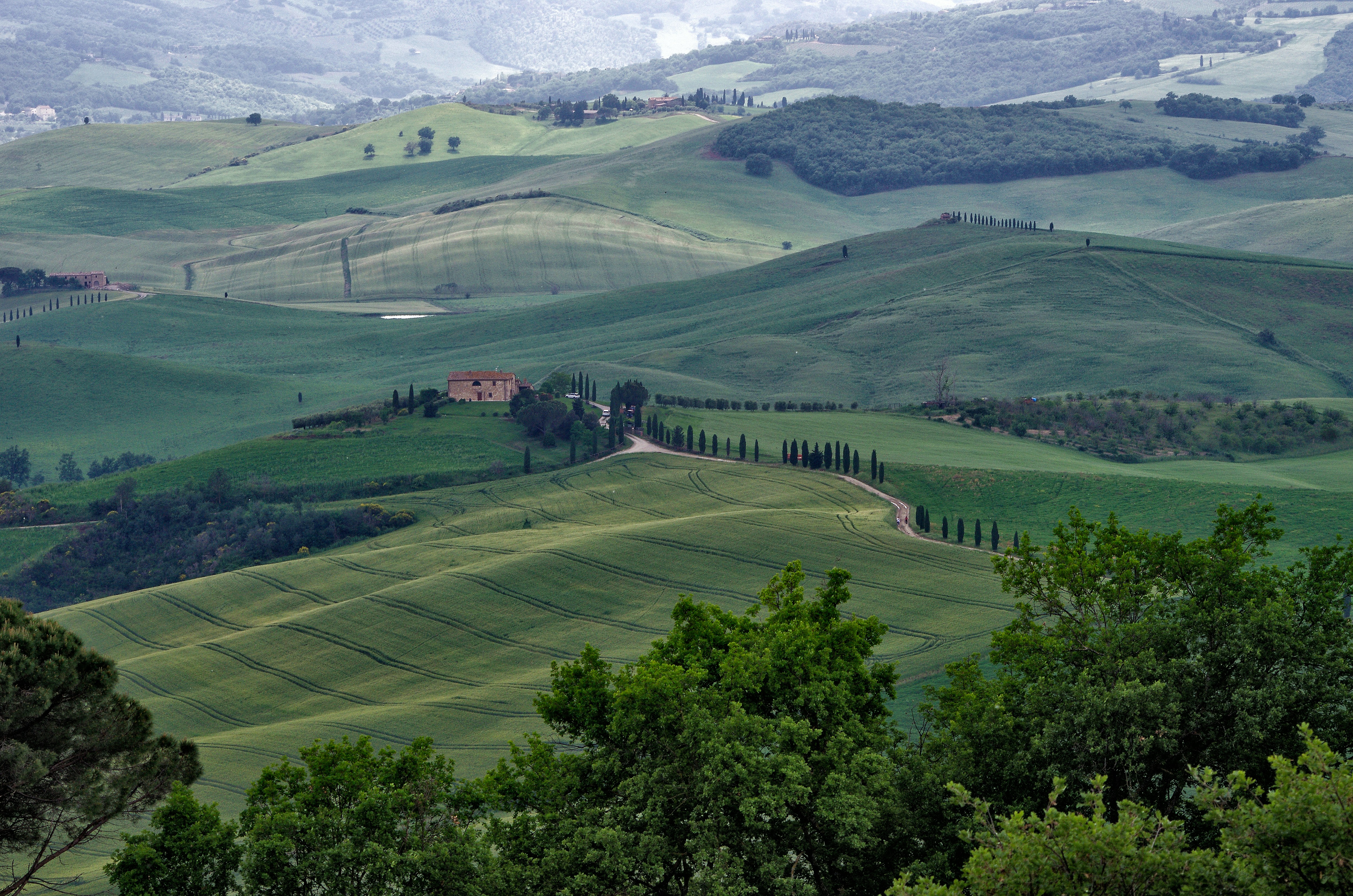 Photo by lotharborispiltz