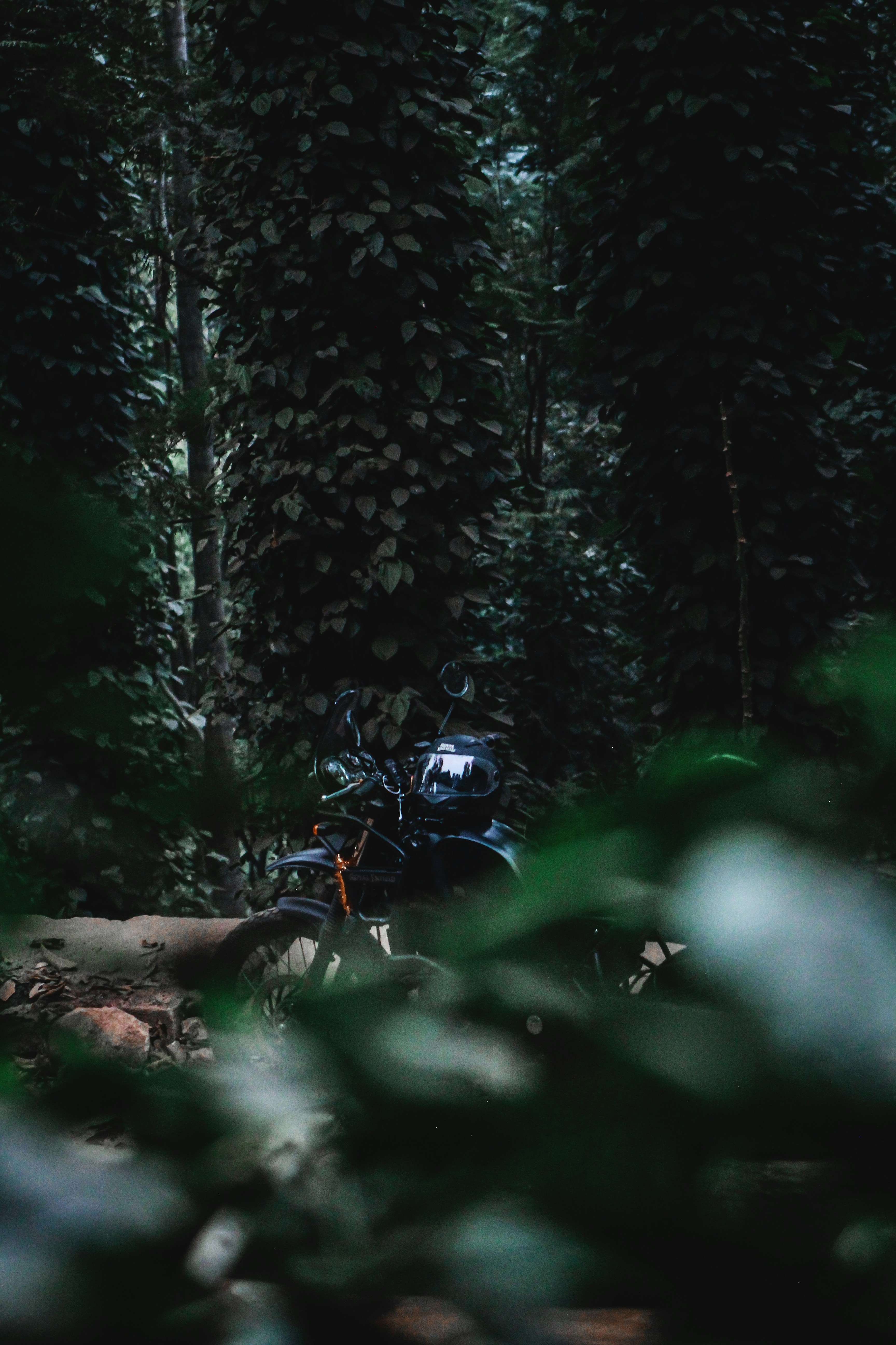 Photo by arunkumar18