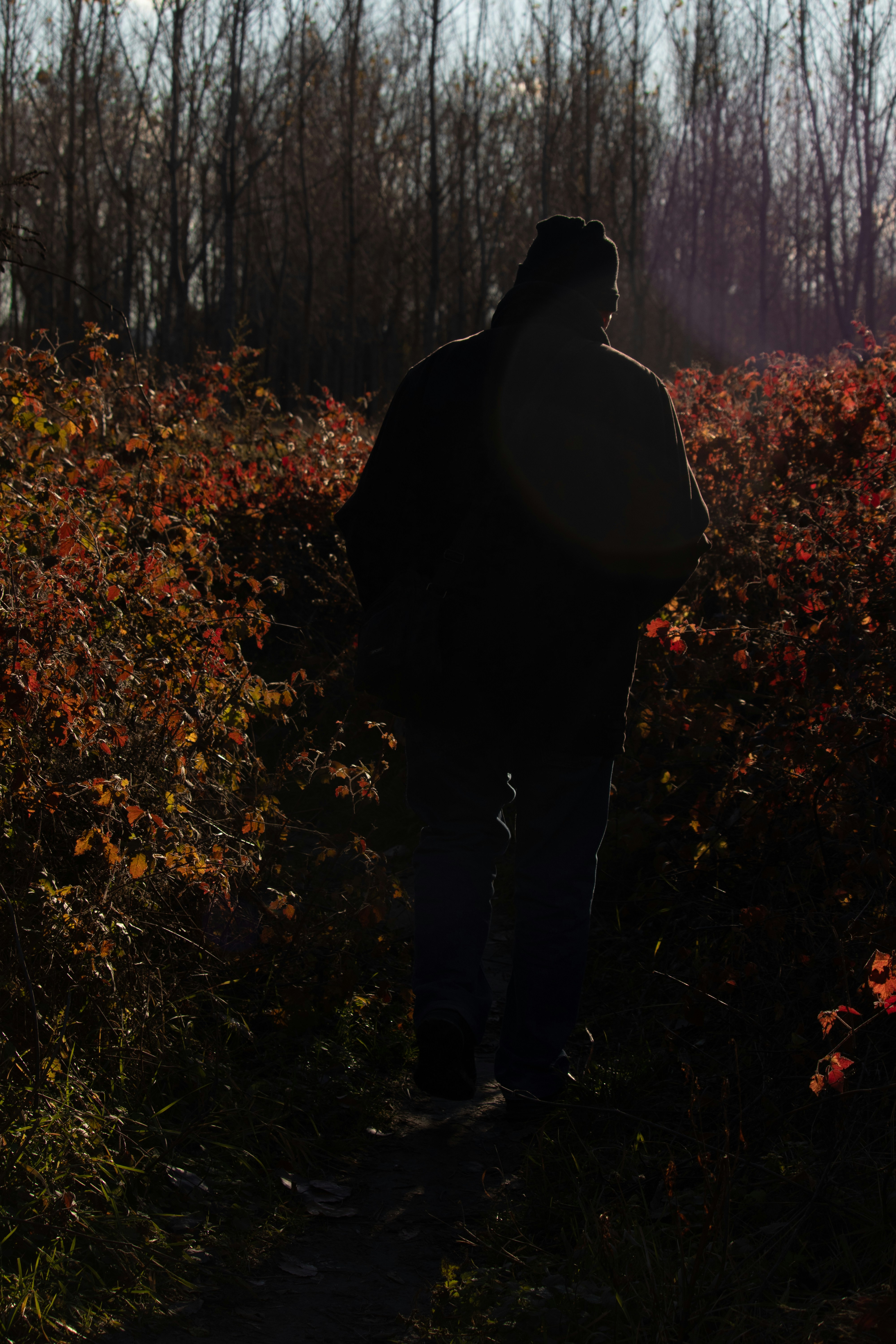 Photo by sivc