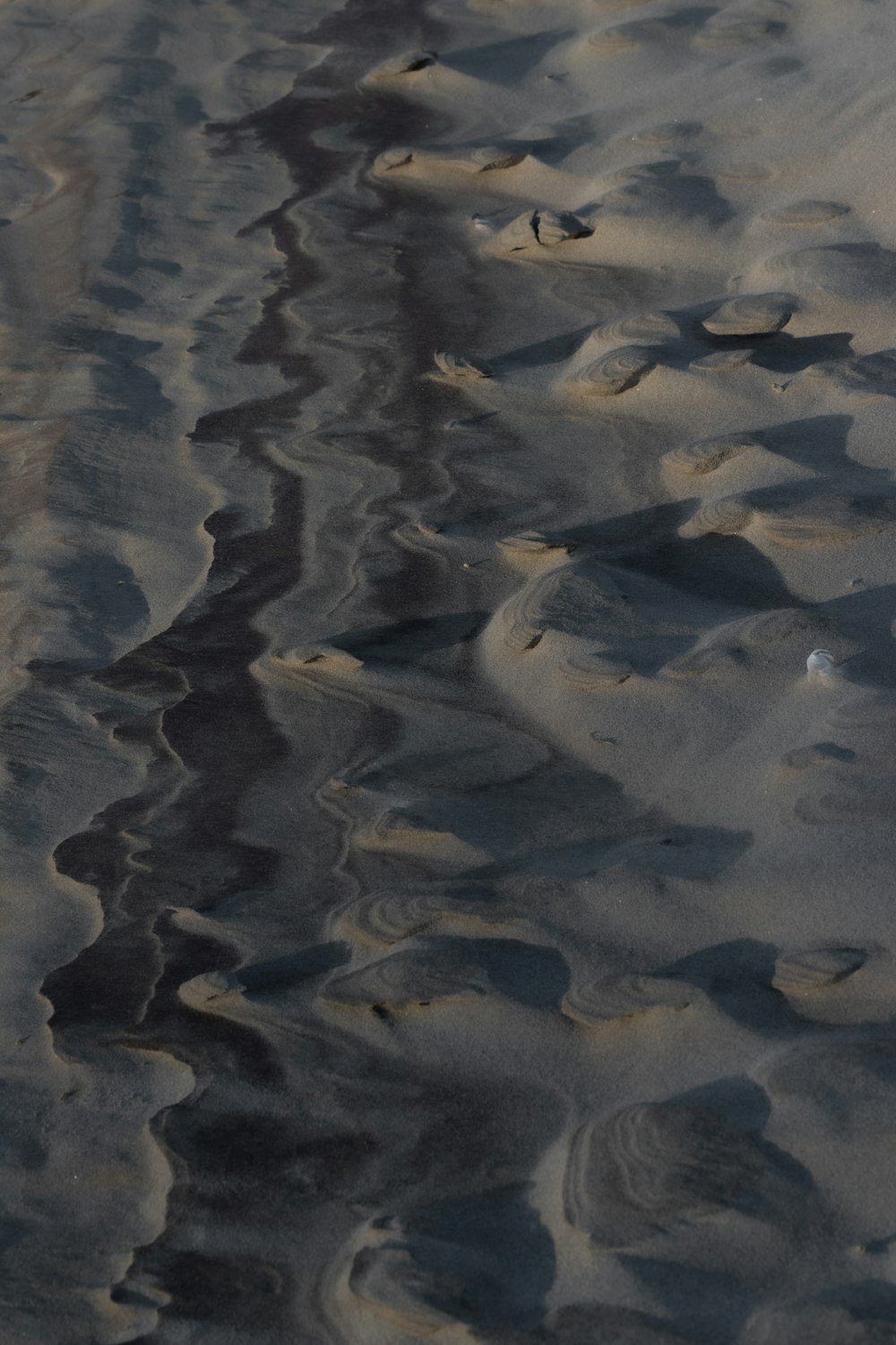 a bird flying over a body of water