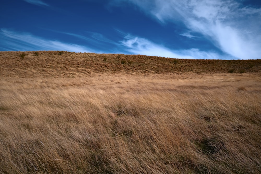 una collina erbosa con un cielo azzurro sullo sfondo