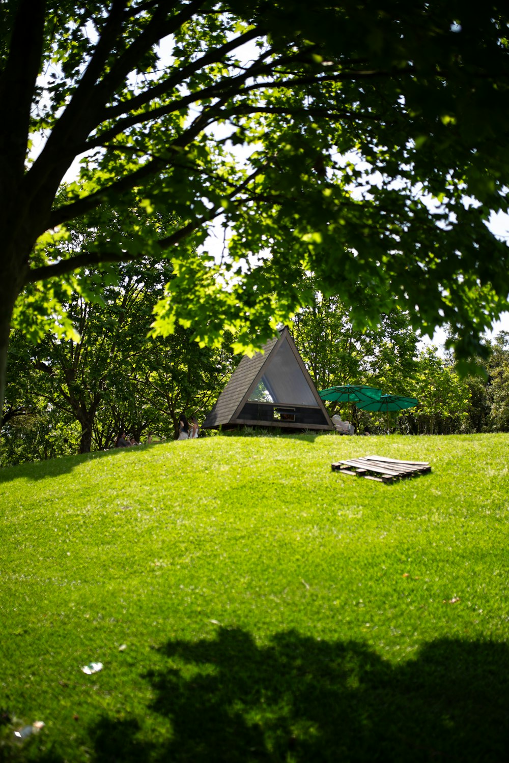a tent in the middle of a grassy field