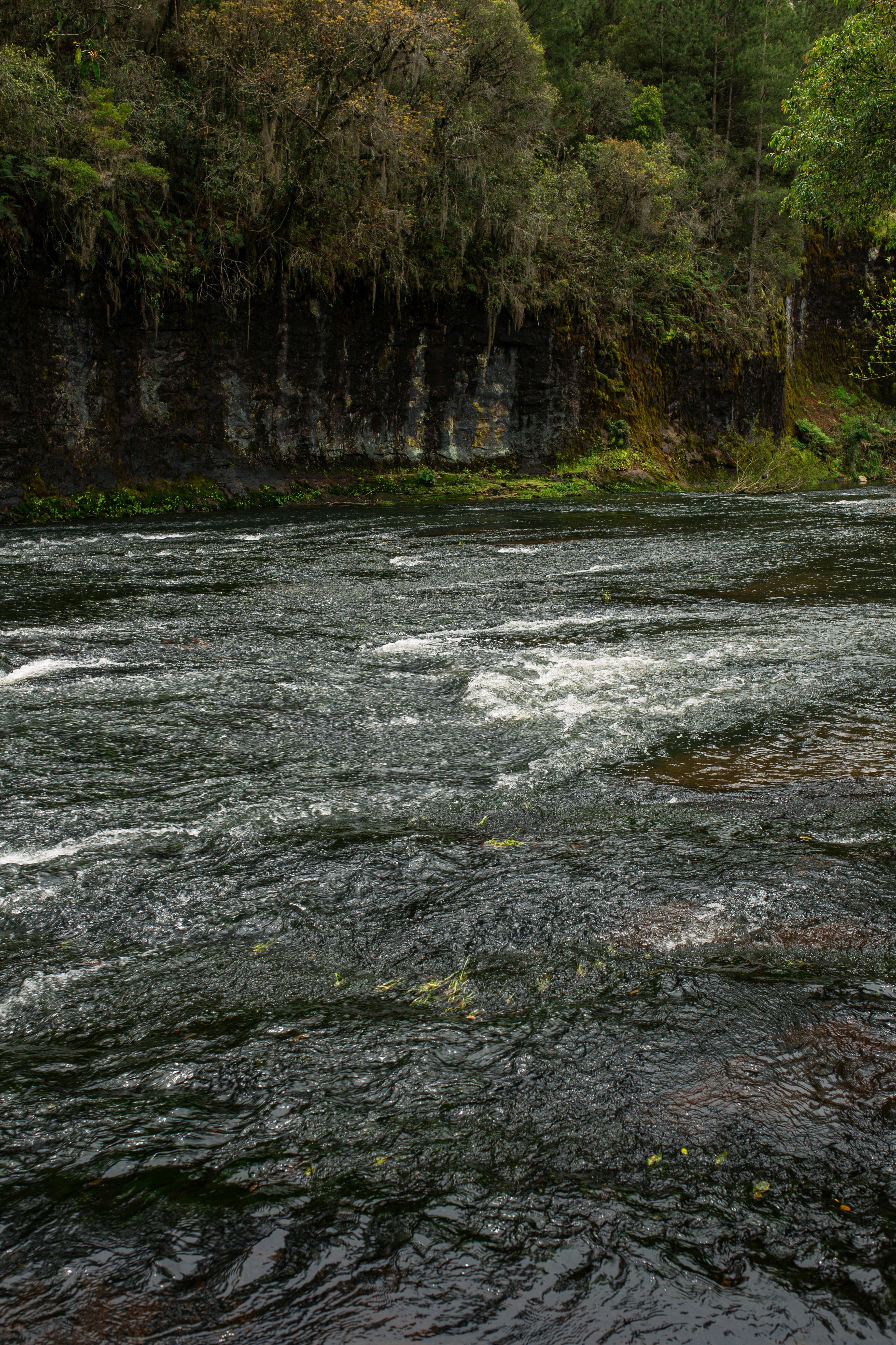 a man standing on a rock in the middle of a river