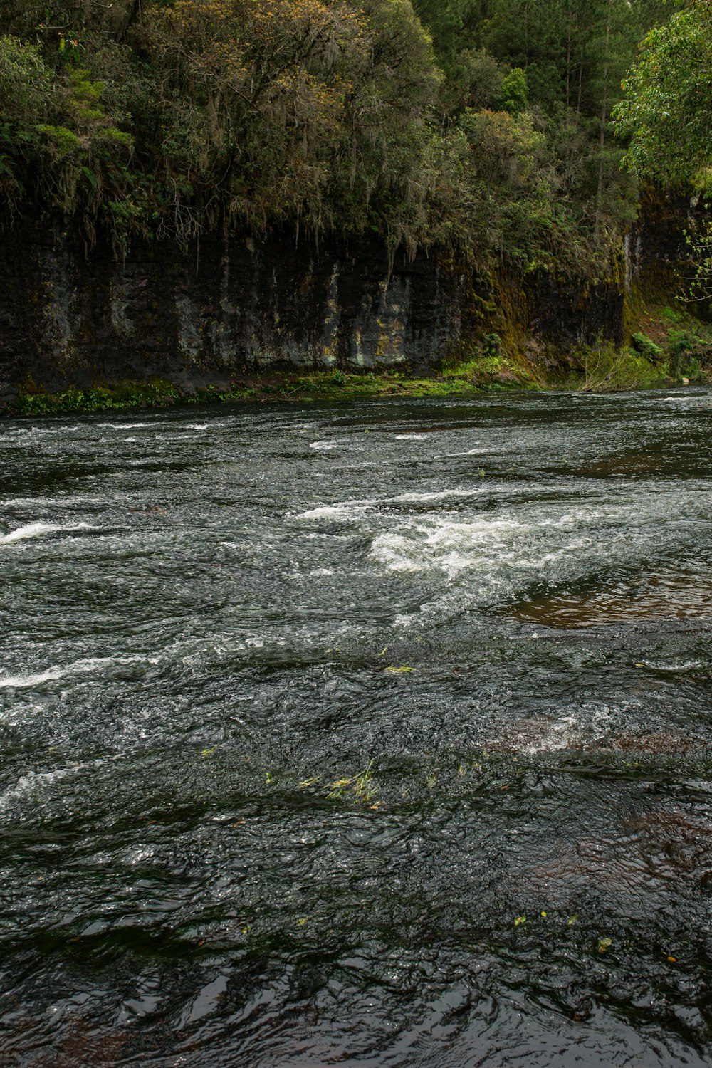 a man standing on a rock in the middle of a river