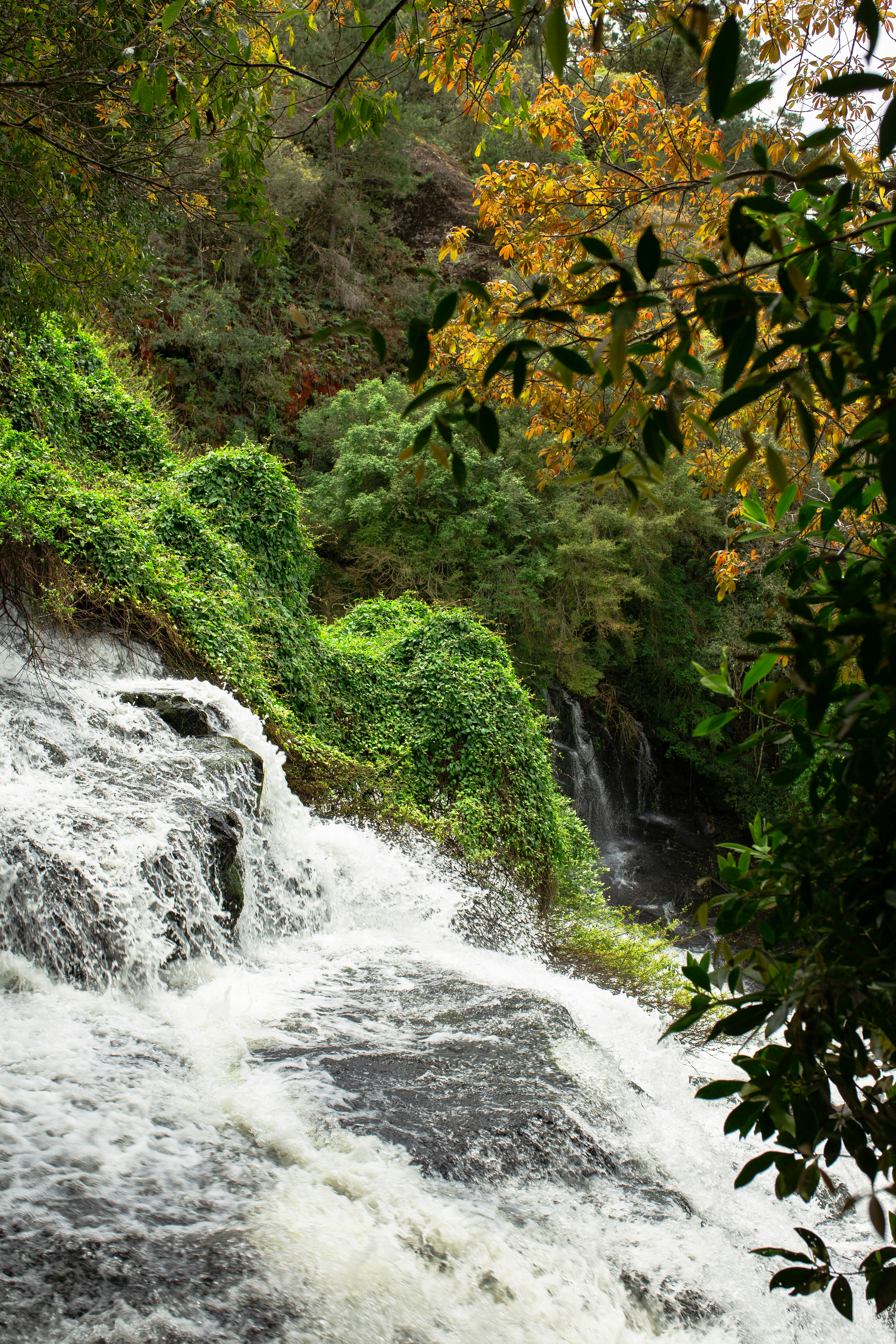 a waterfall in the middle of a lush green forest