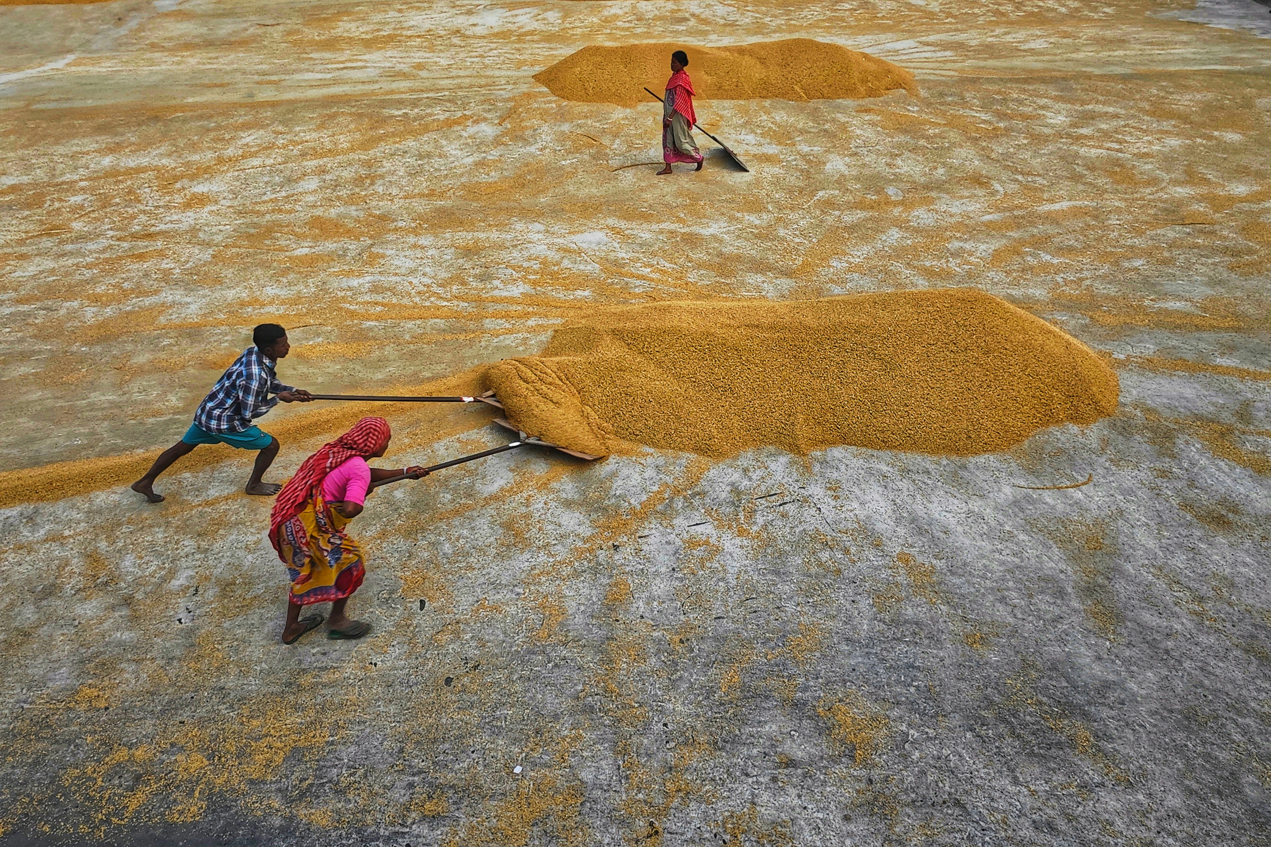 a group of people standing on top of a dirt field