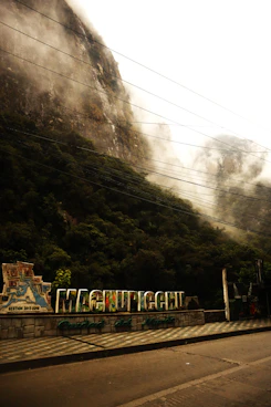 a train traveling down a train track next to a lush green hillside