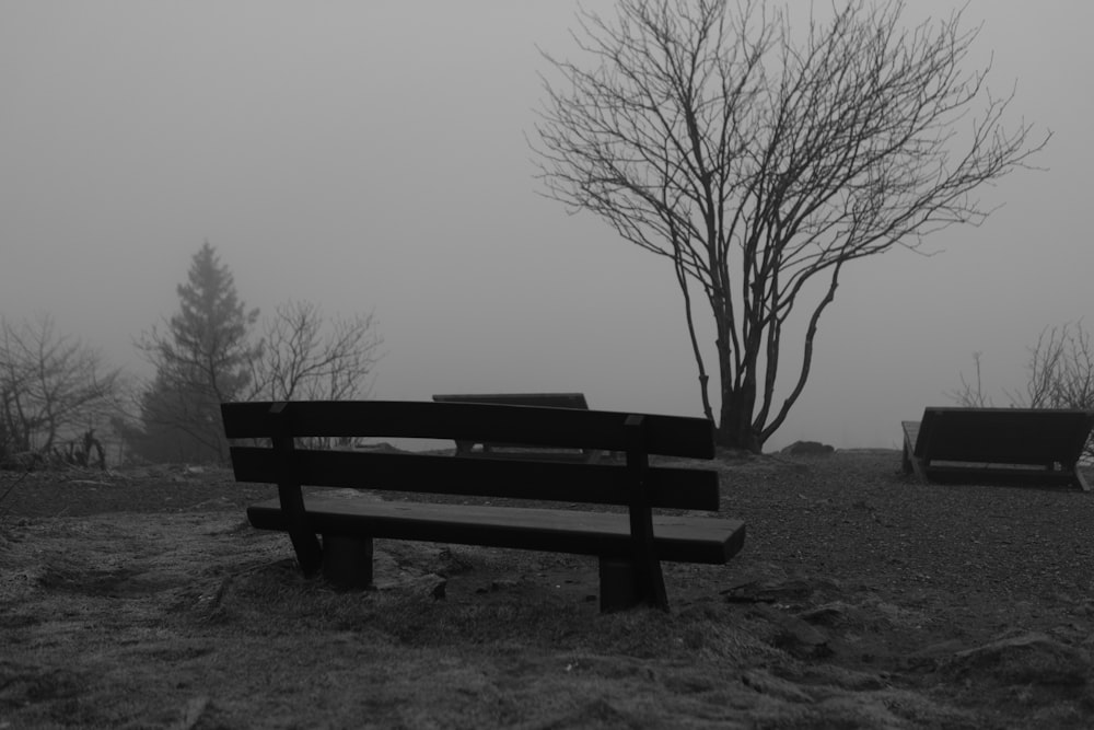 a black and white photo of a park bench