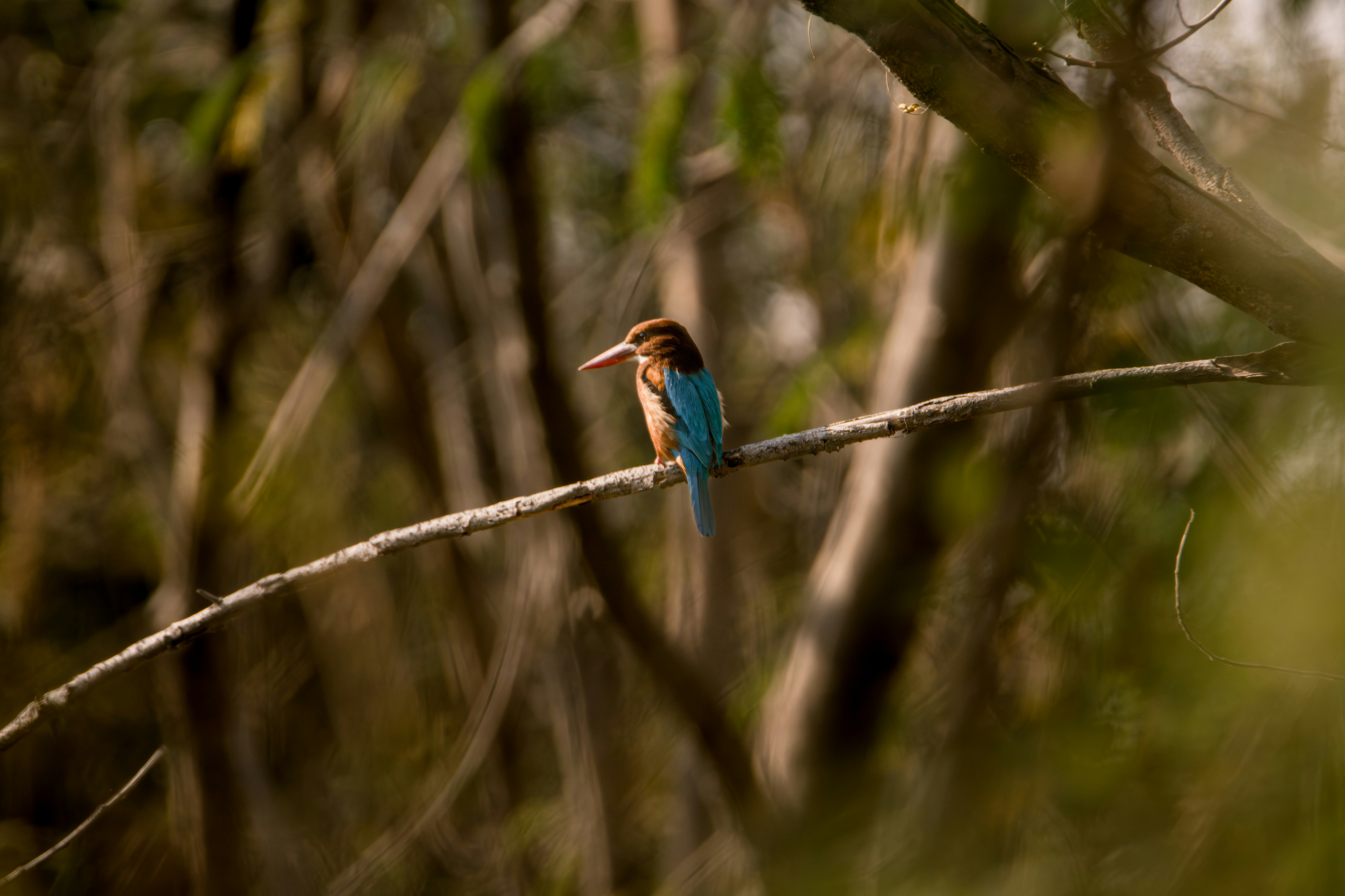 Photo by harshit_suryawanshi