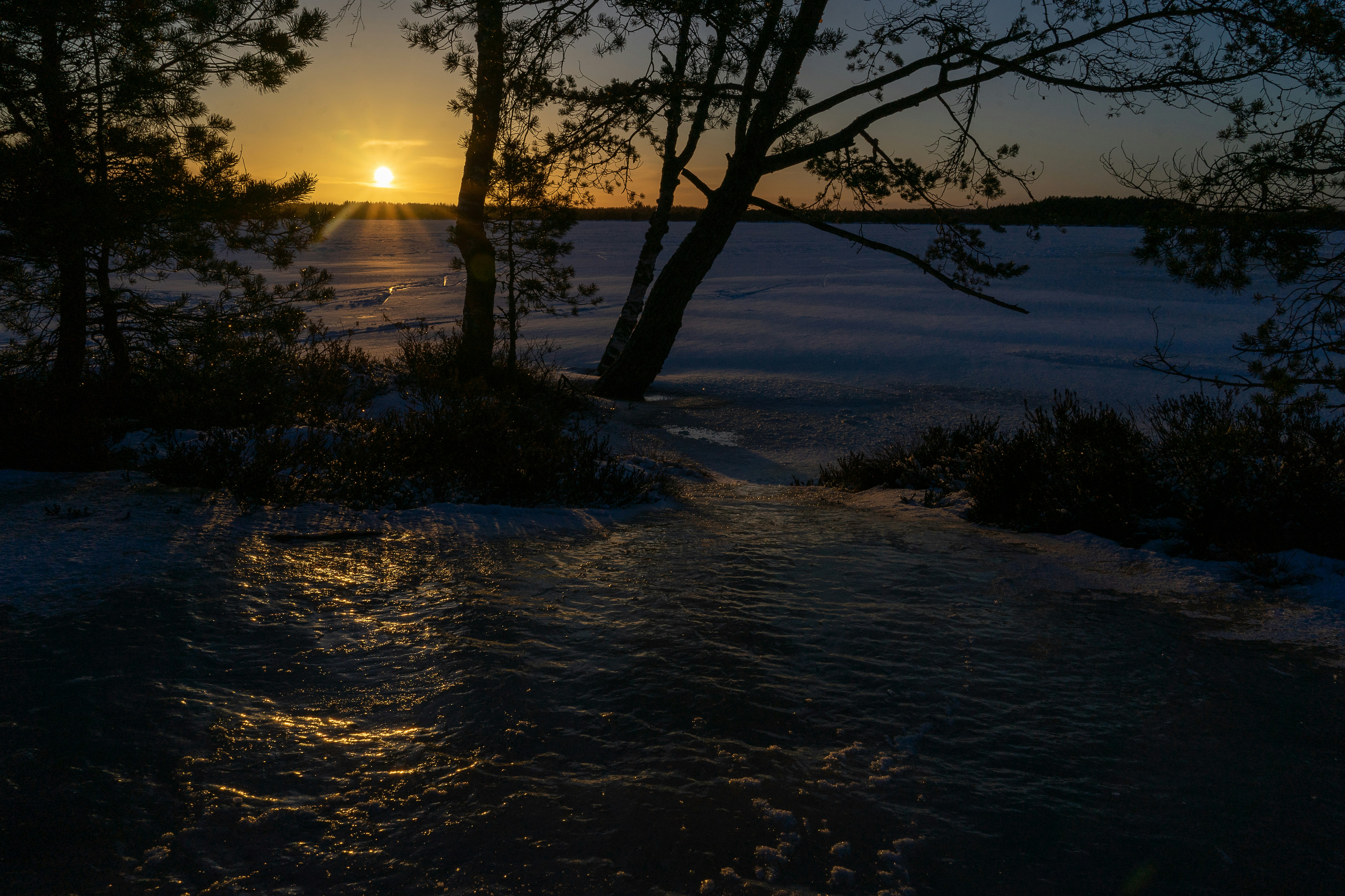 Photo by andruslukas