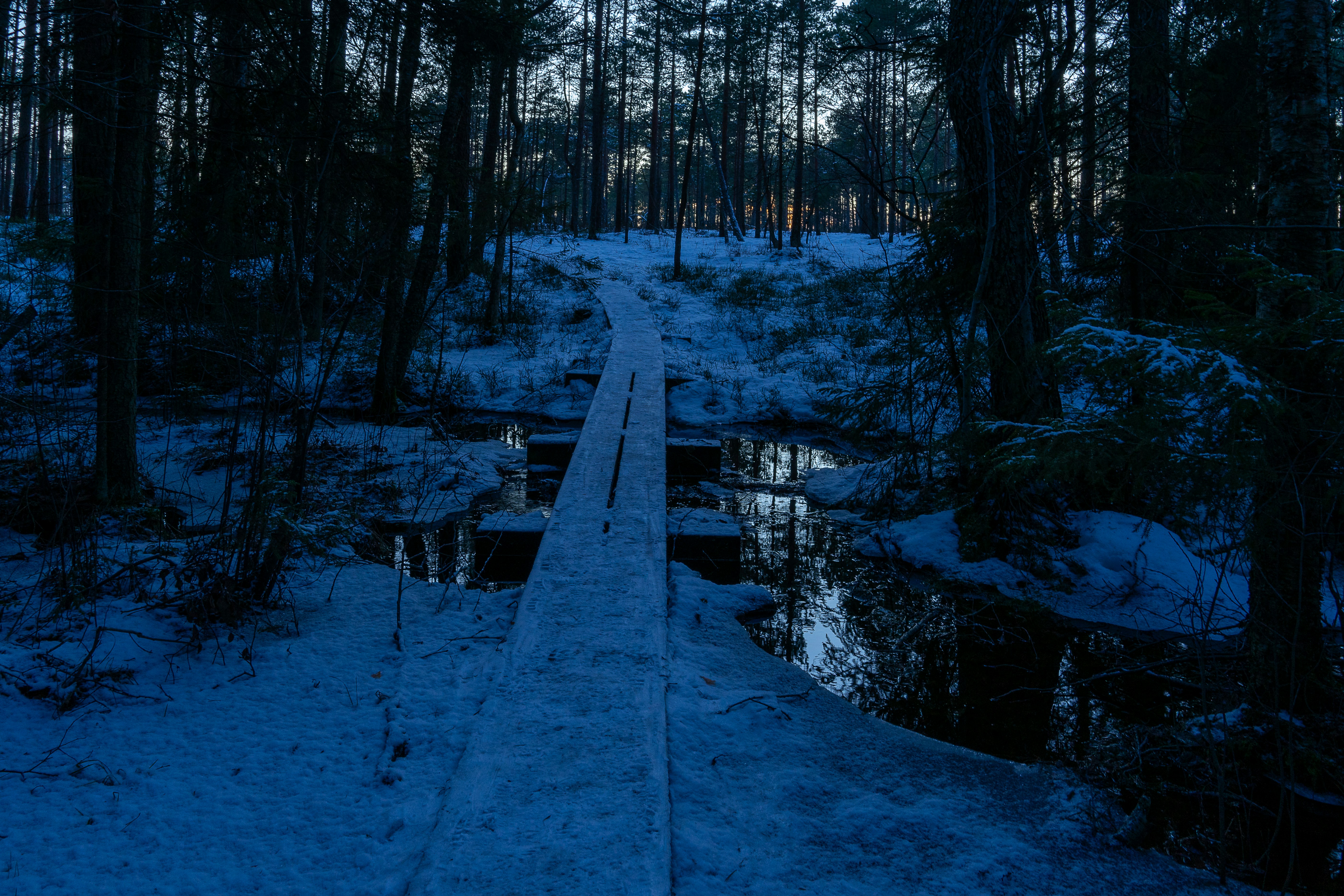 Photo by andruslukas