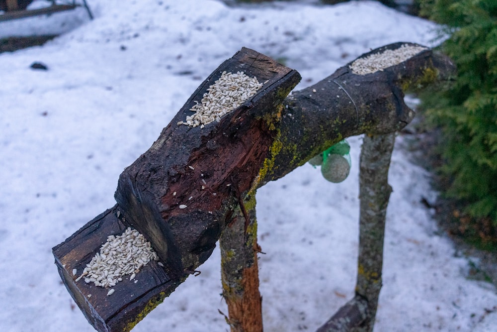 a wooden post with a green bottle on top of it