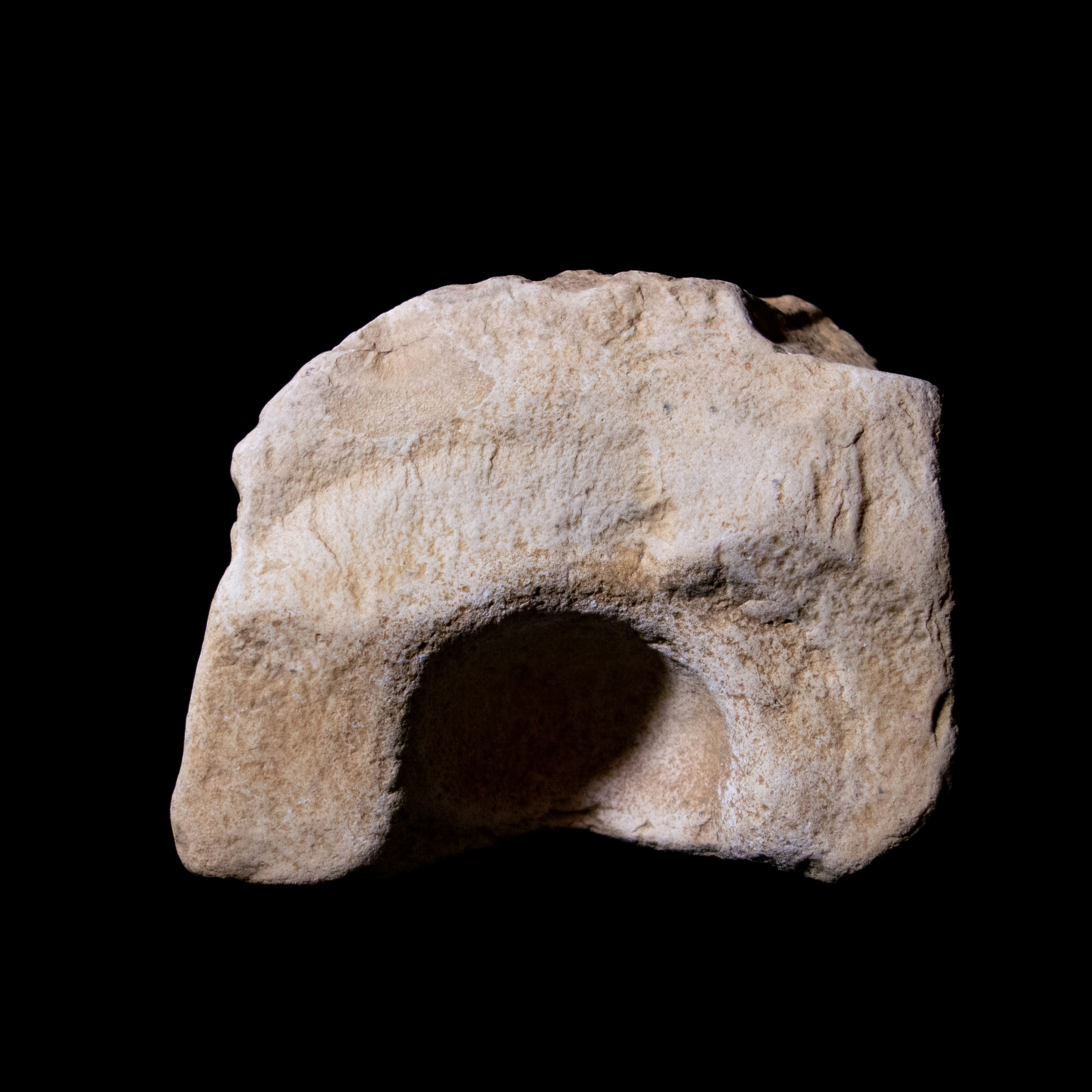 Photo by leydenfrost