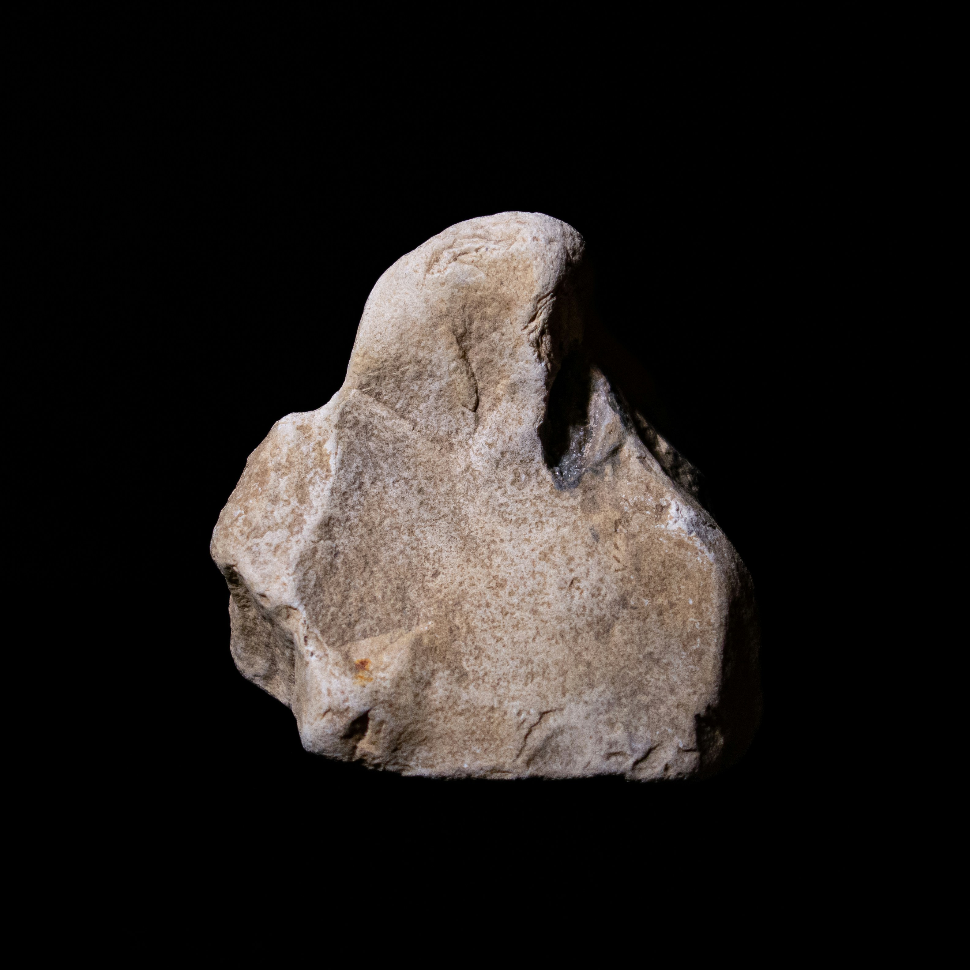 Photo by leydenfrost