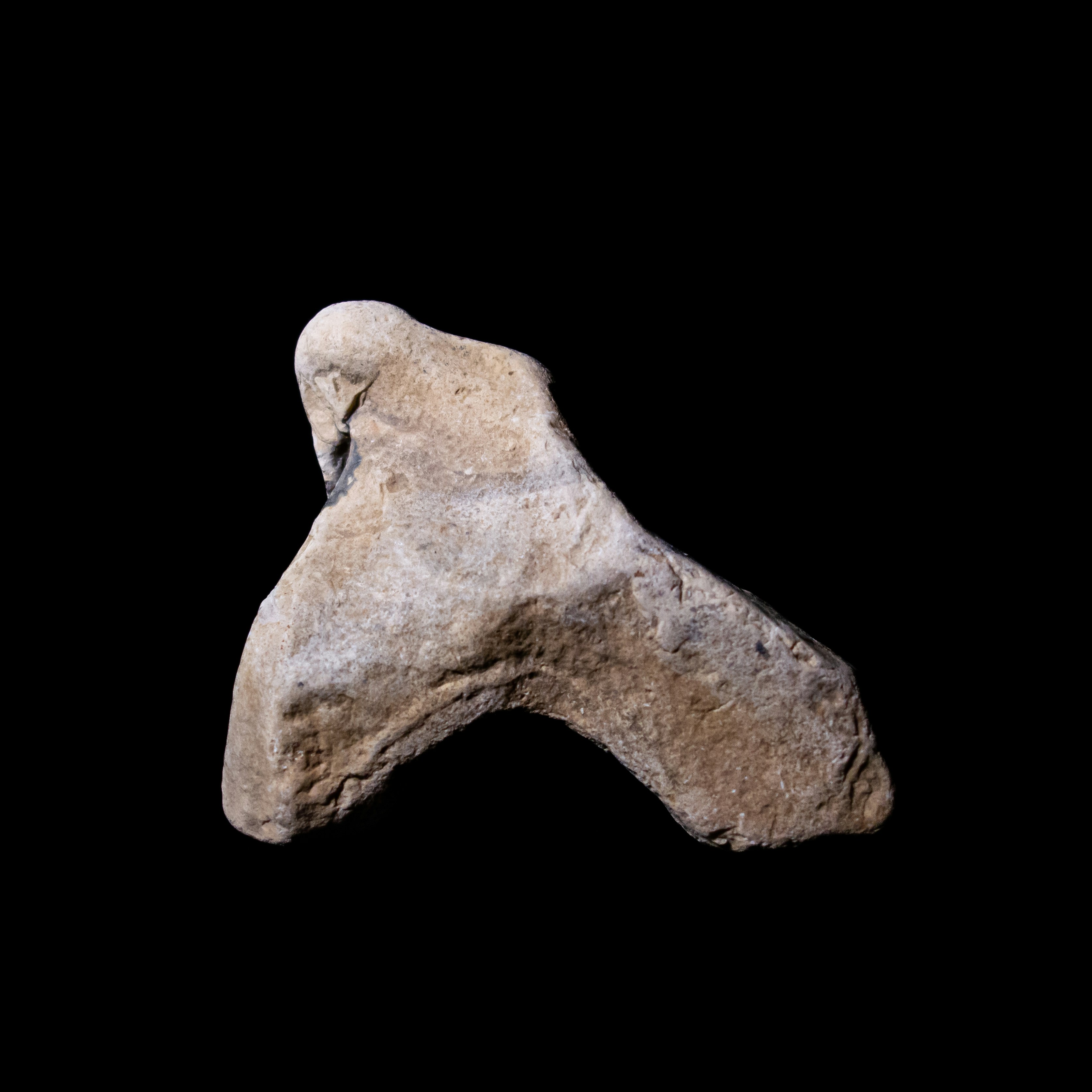 Photo by leydenfrost