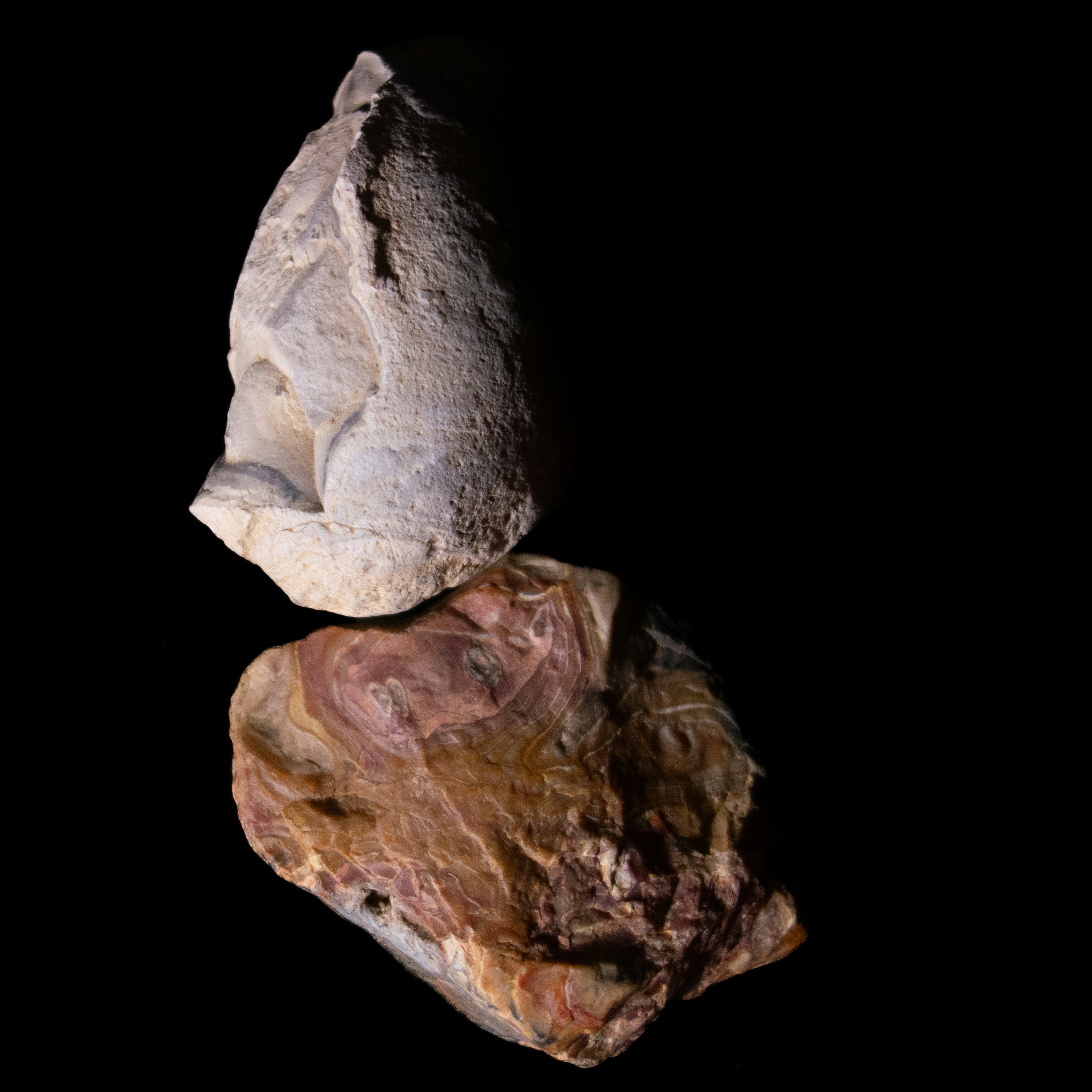 Photo by leydenfrost